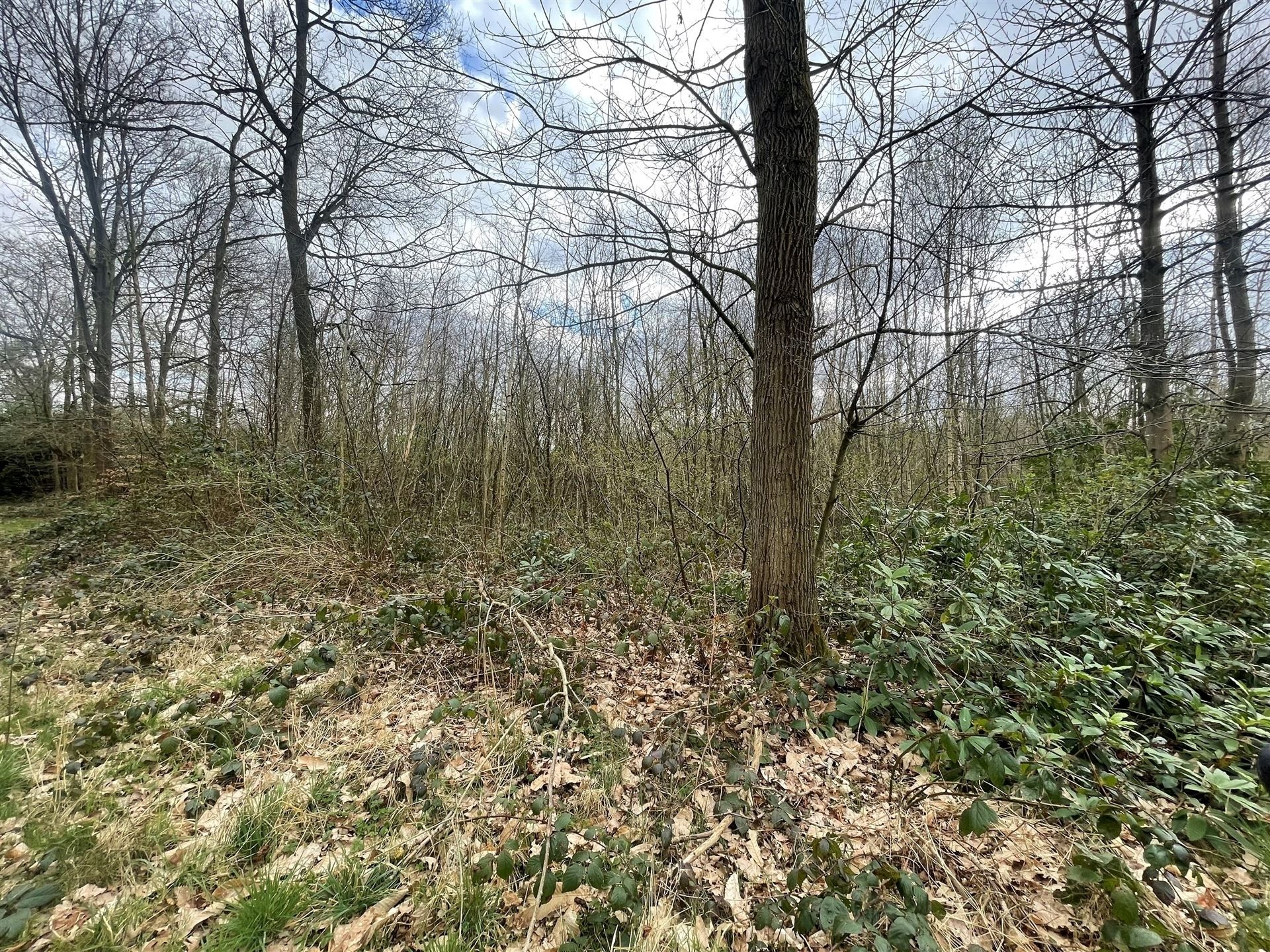 Weiland / Bouwland foto 6