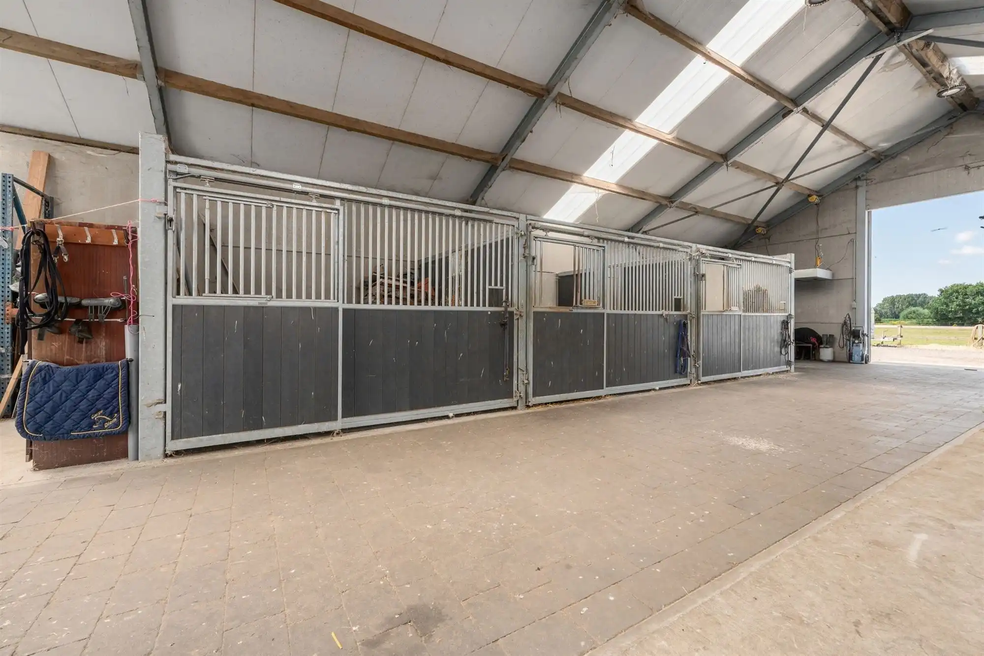 Unieke eigendom van 14.139m² voor paarden- of dierenliefhebbers of wie droomt van ruimte  foto 19