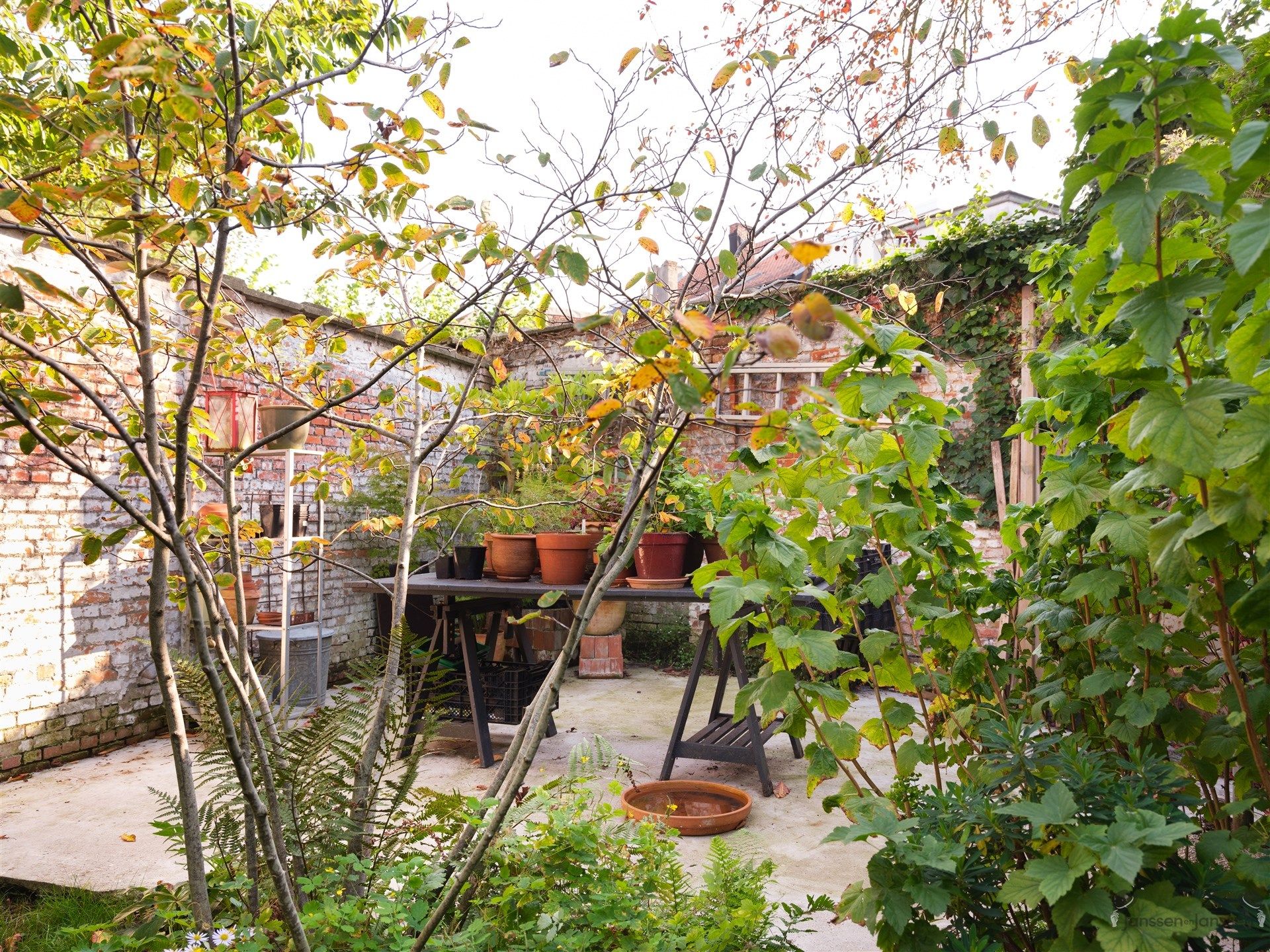 Charmant gerenoveerde woning met zonnige groene tuin foto 21