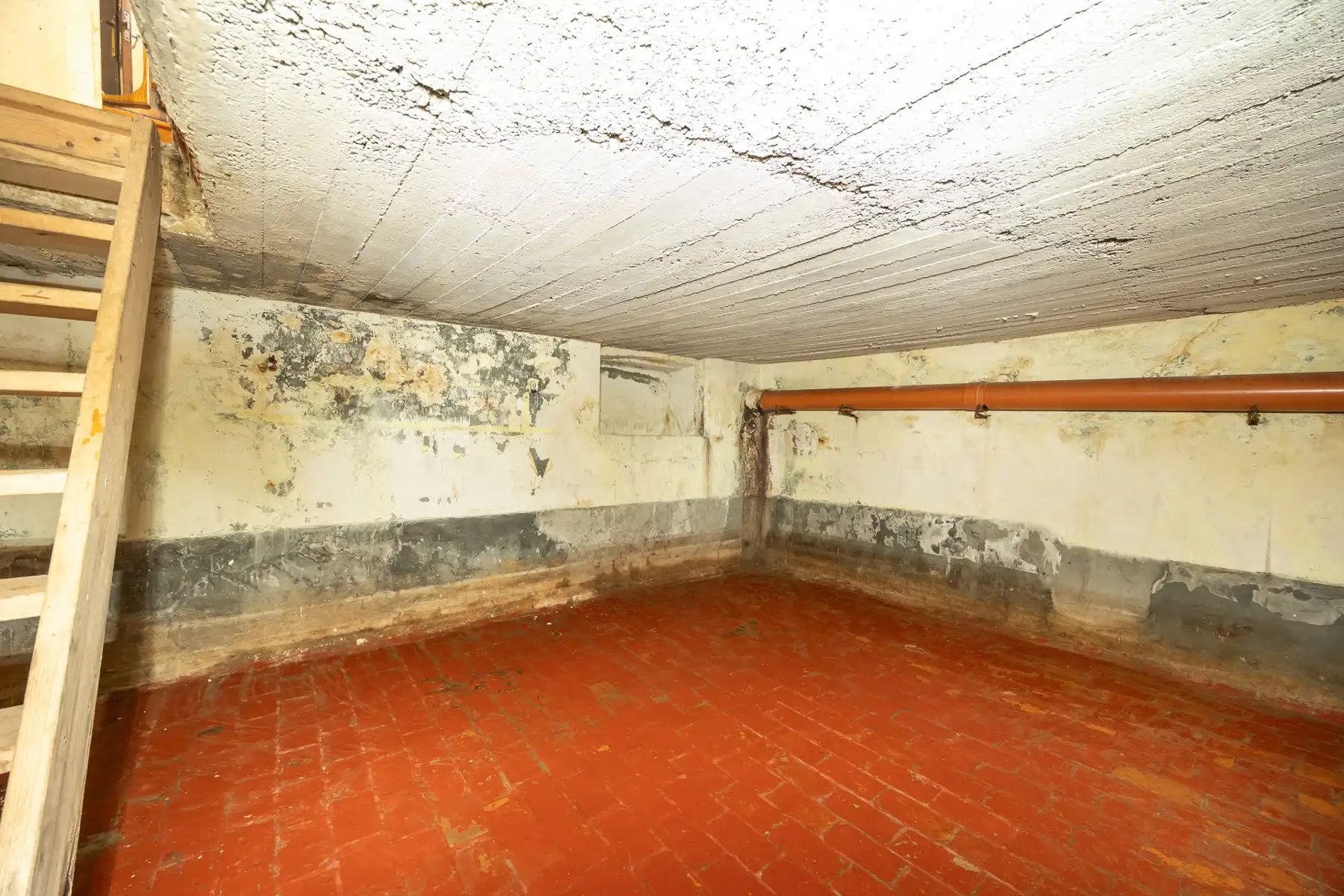 Woning met drie slaapkamers en aangename tuin in Boom foto 22