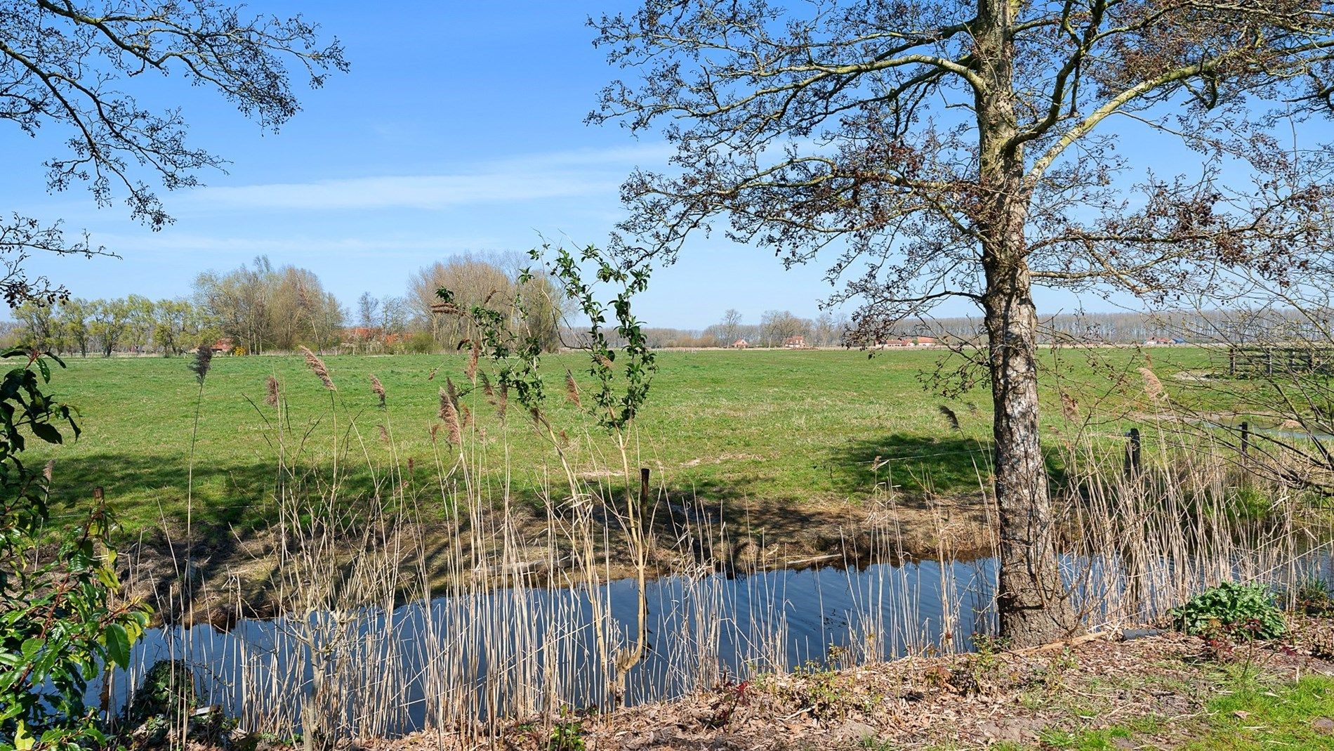 Te renoveren hofstede op toplocatie te Damme foto 9