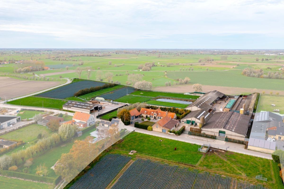 Hoofdfoto van de publicatie: Groot vleesveebedrijf te koop te Diksmuide