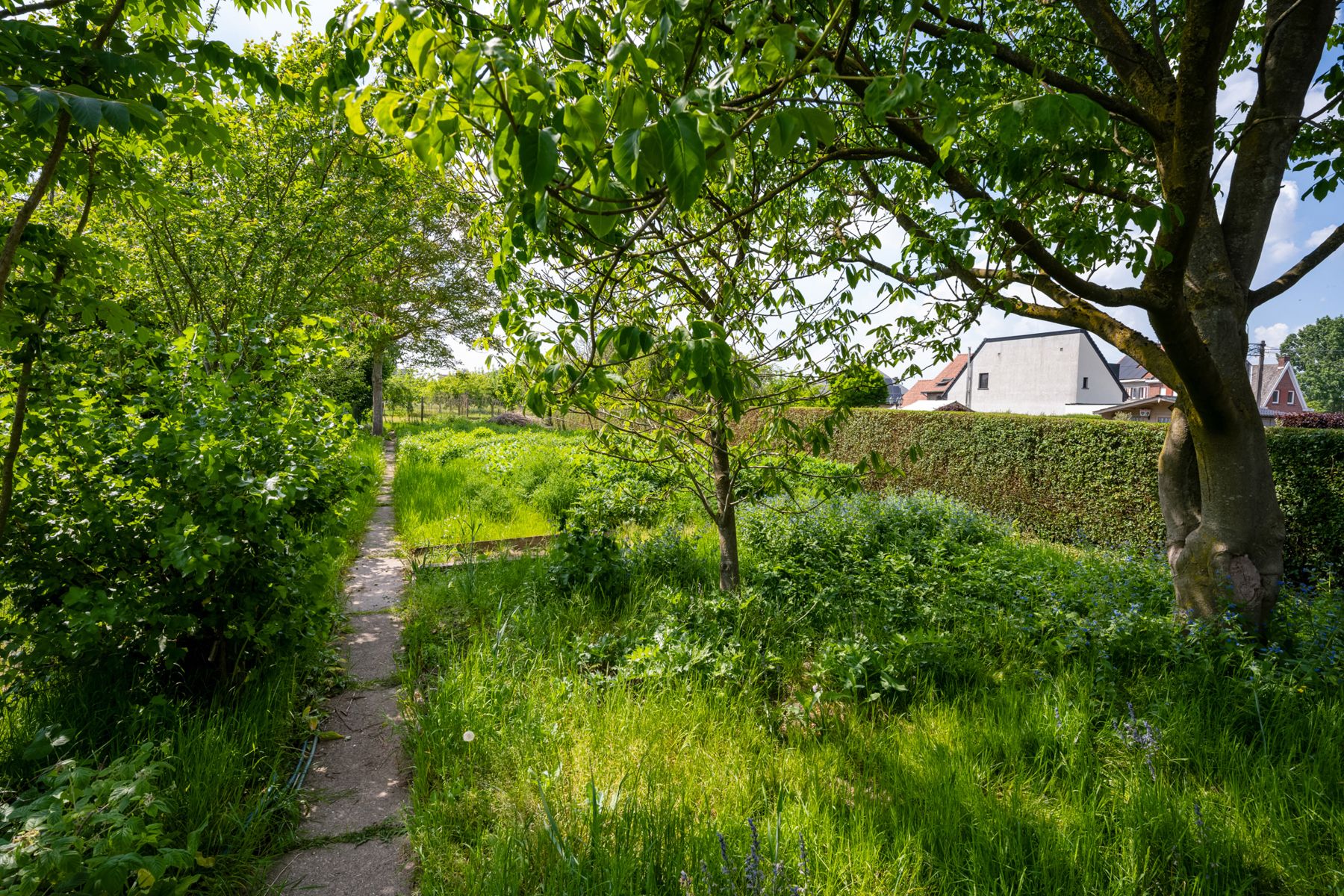 Charmante fermette op perceel van 1548m² mooie tuin + oprit! foto 21