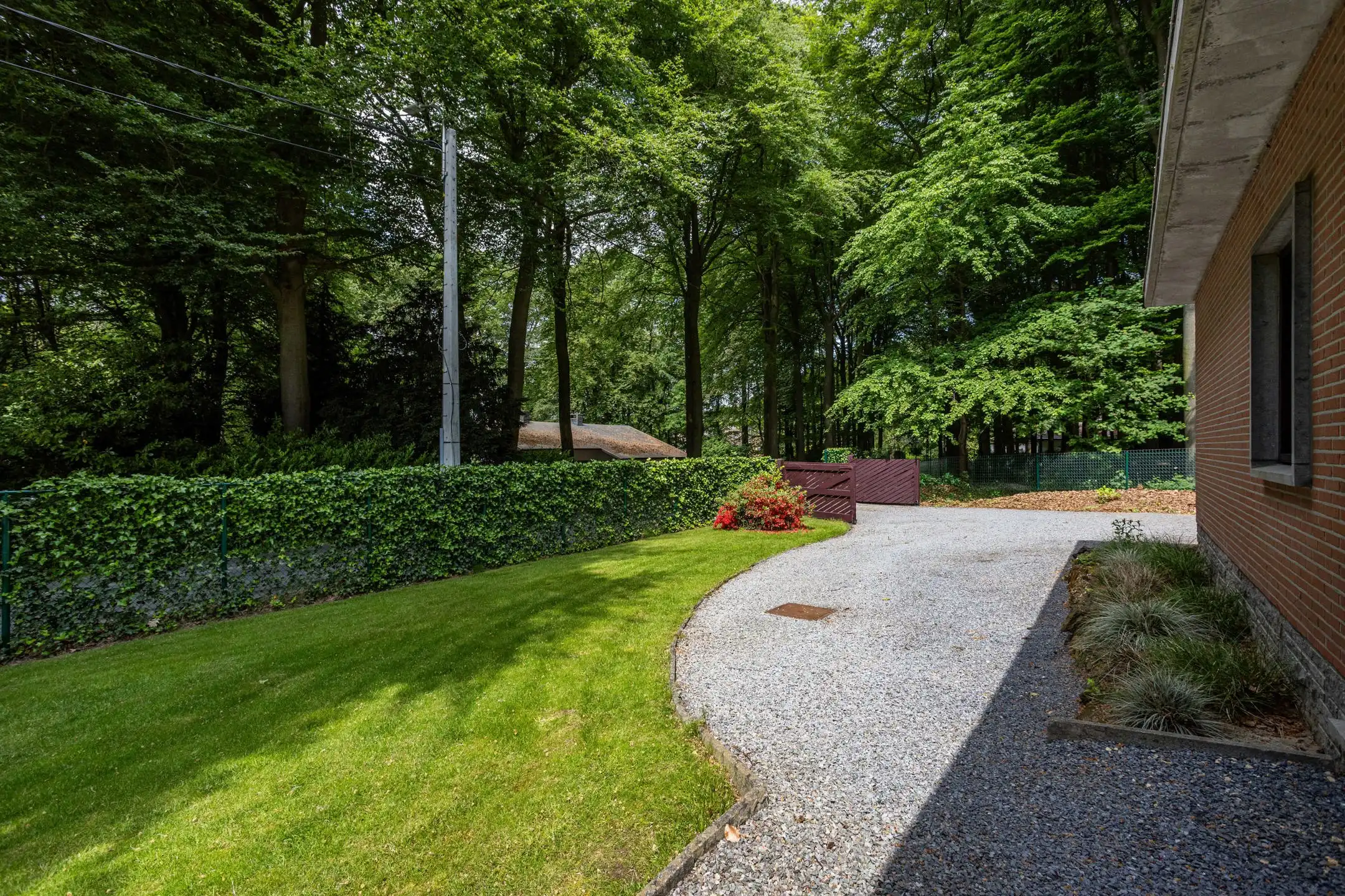Te moderniseren bungalow met bos in Louise-Marie foto 4