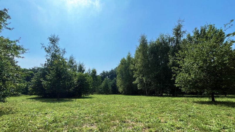 TE KOOP – Uniek stuk bouwgrond in de bossen van Lembeke – >15.000 m² foto 9