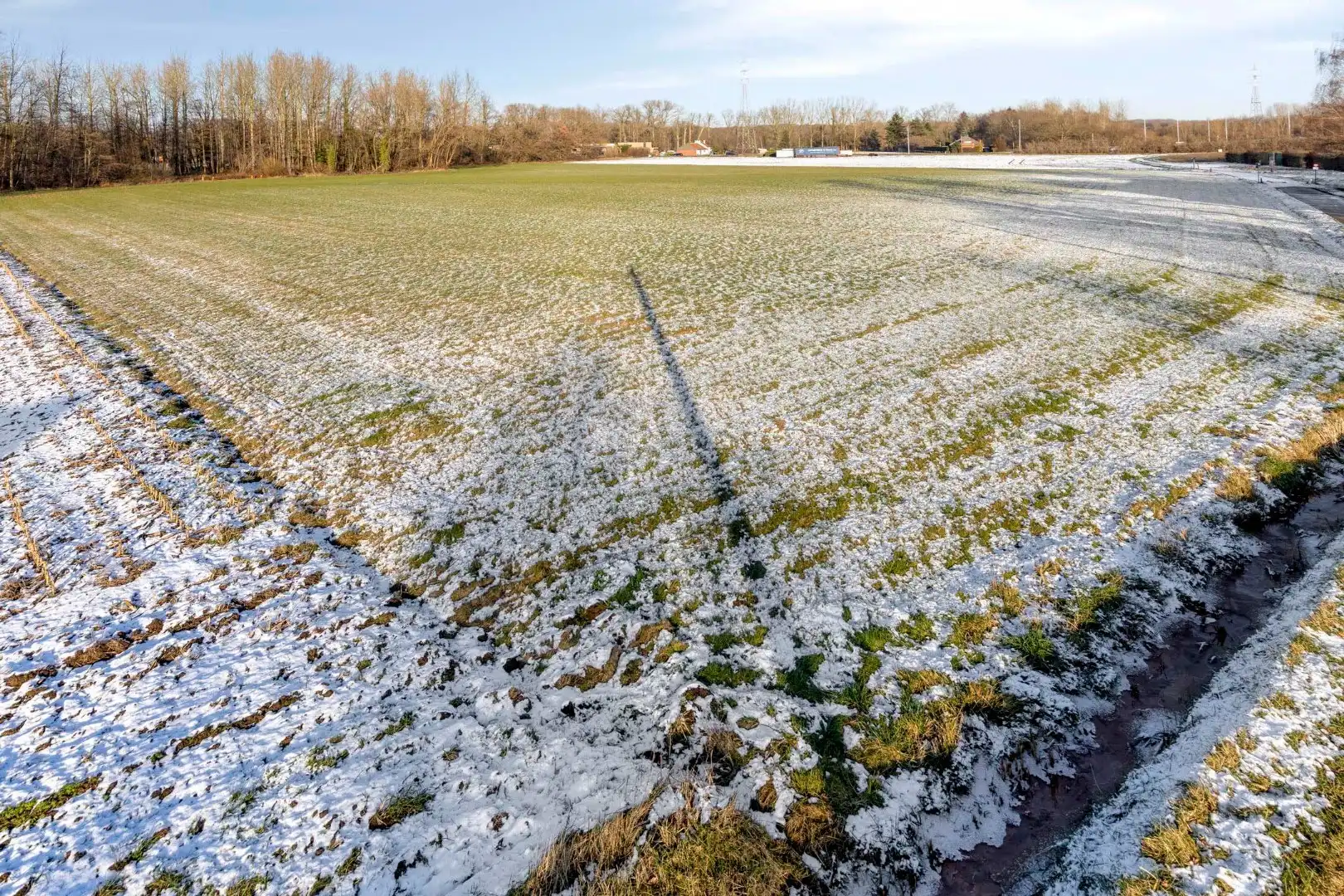 Landbouwgrond vrij van pacht in Wilsele op een perceel van 2ha 03a 20ca foto 5