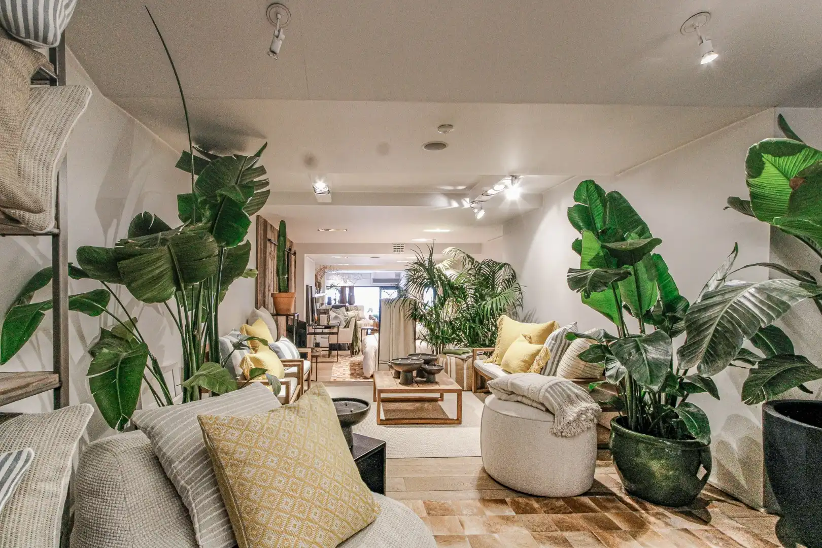 Verhuurde winkel te koop Zeedijk Zoute Knokke foto 5