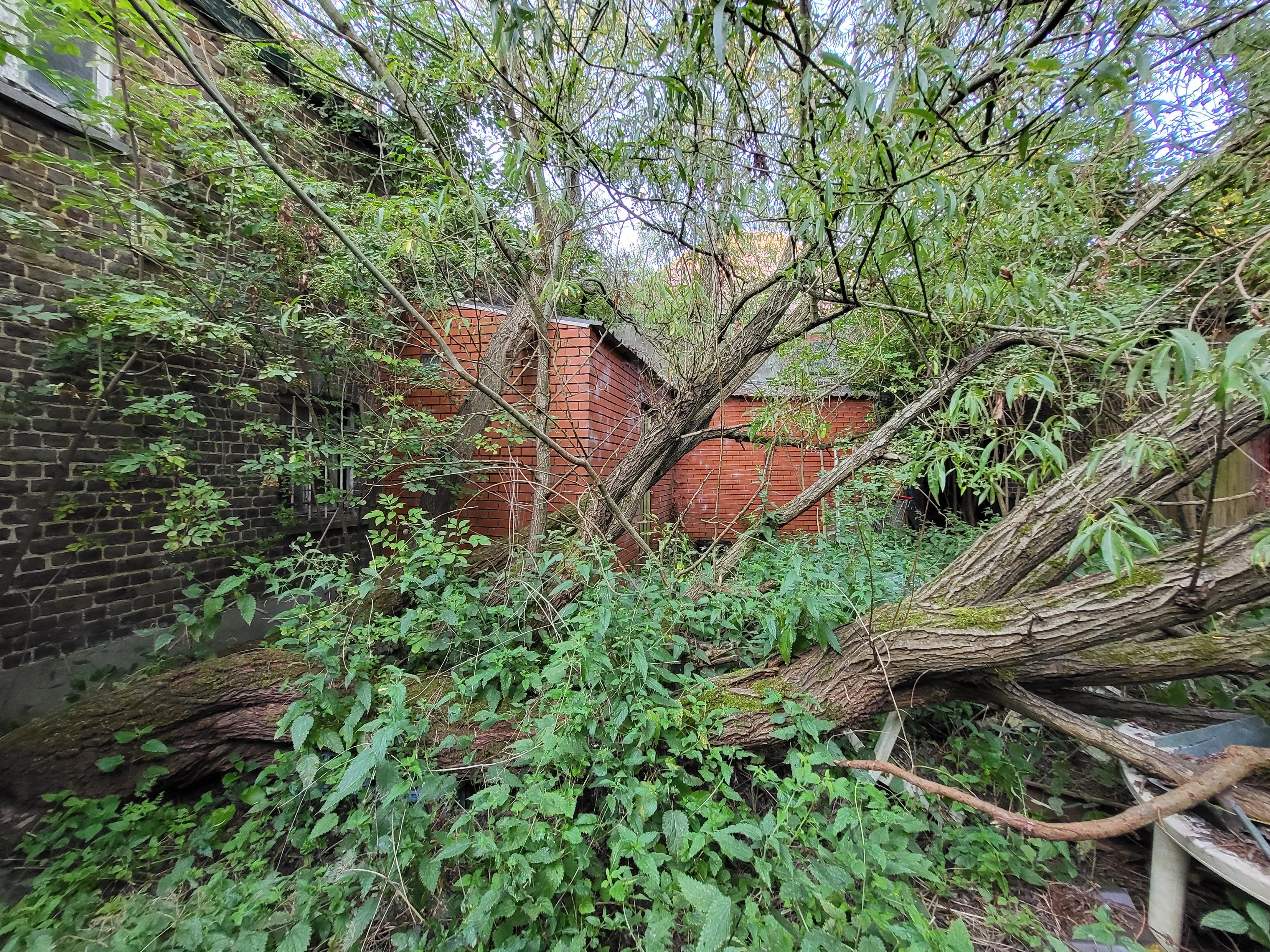 Prachtig te renoveren burgerwoning op 318m² met ruime garage en stalling. foto 27