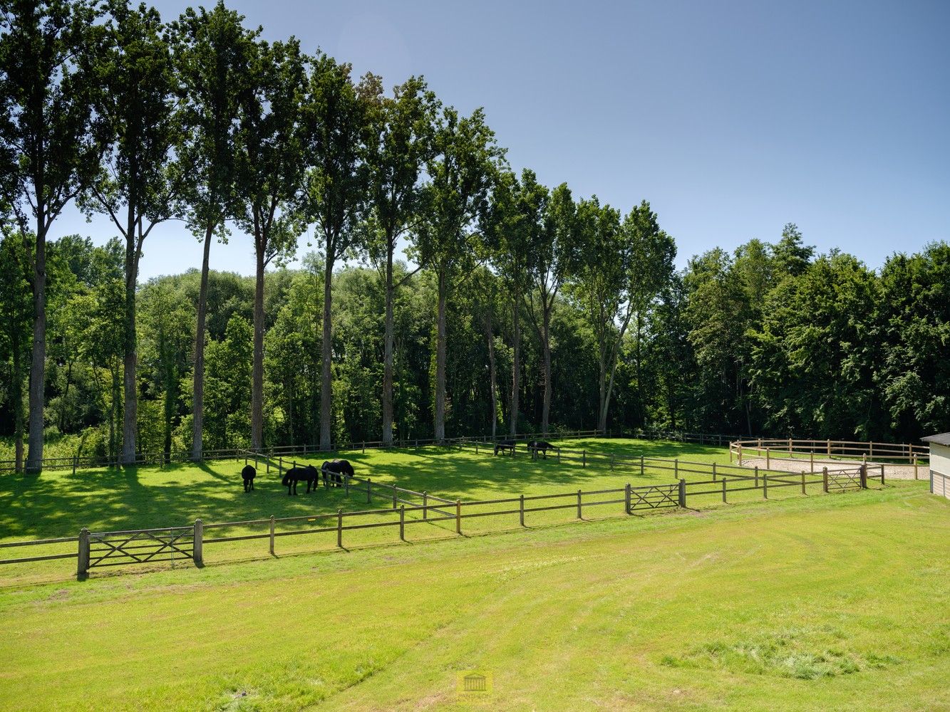 Uitzonderlijk pand - manege met gastenverblijf foto 7