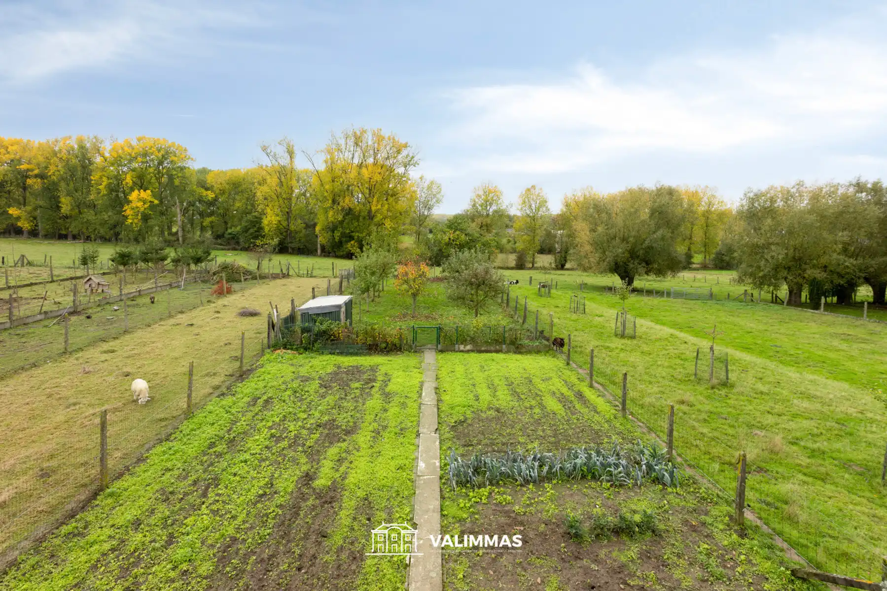 Prachtig gelegen gerenoveerde driegevelwoning met grote tuin foto 21