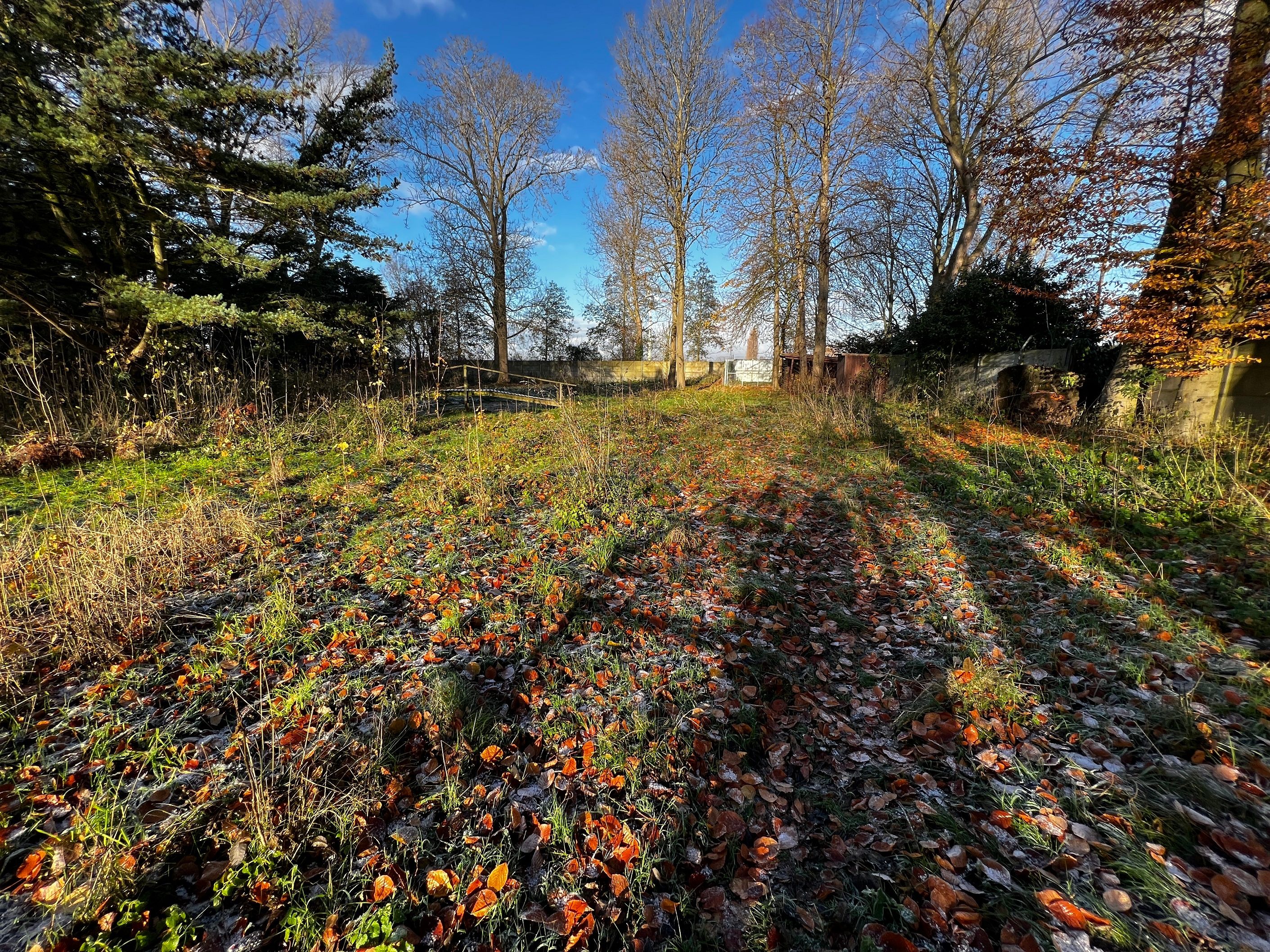 Uitzonderlijk domein met villa en conciërgewoning te Gistel foto 15