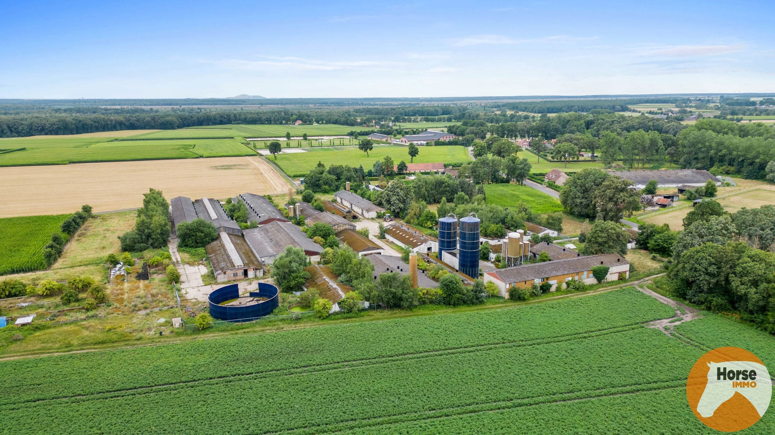 OUDSBERGEN - Grond voor woning met stalgebouw op 2ha70 foto 3