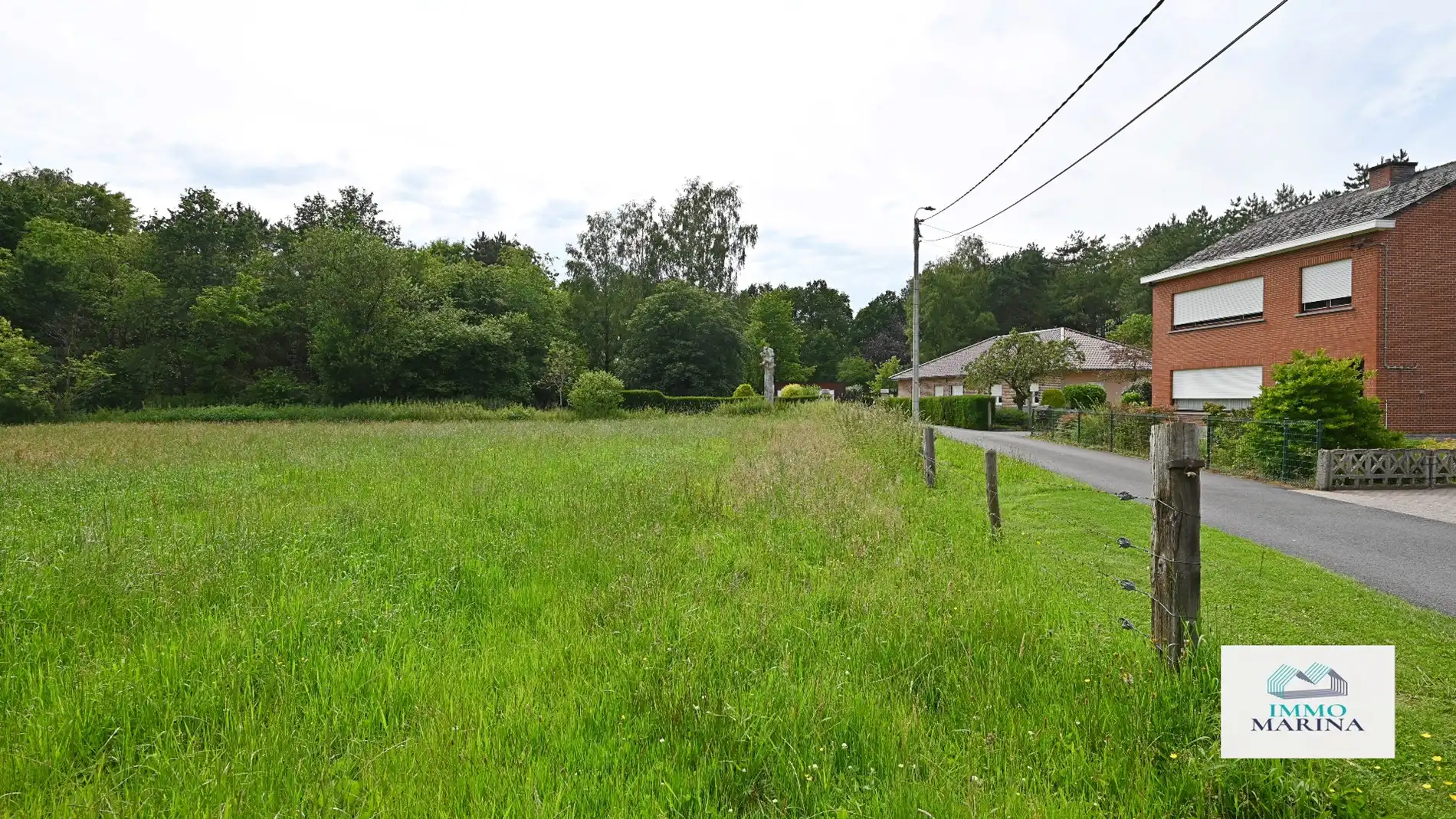 Landbouwgrond / paardenweide te koop te Baal foto 9