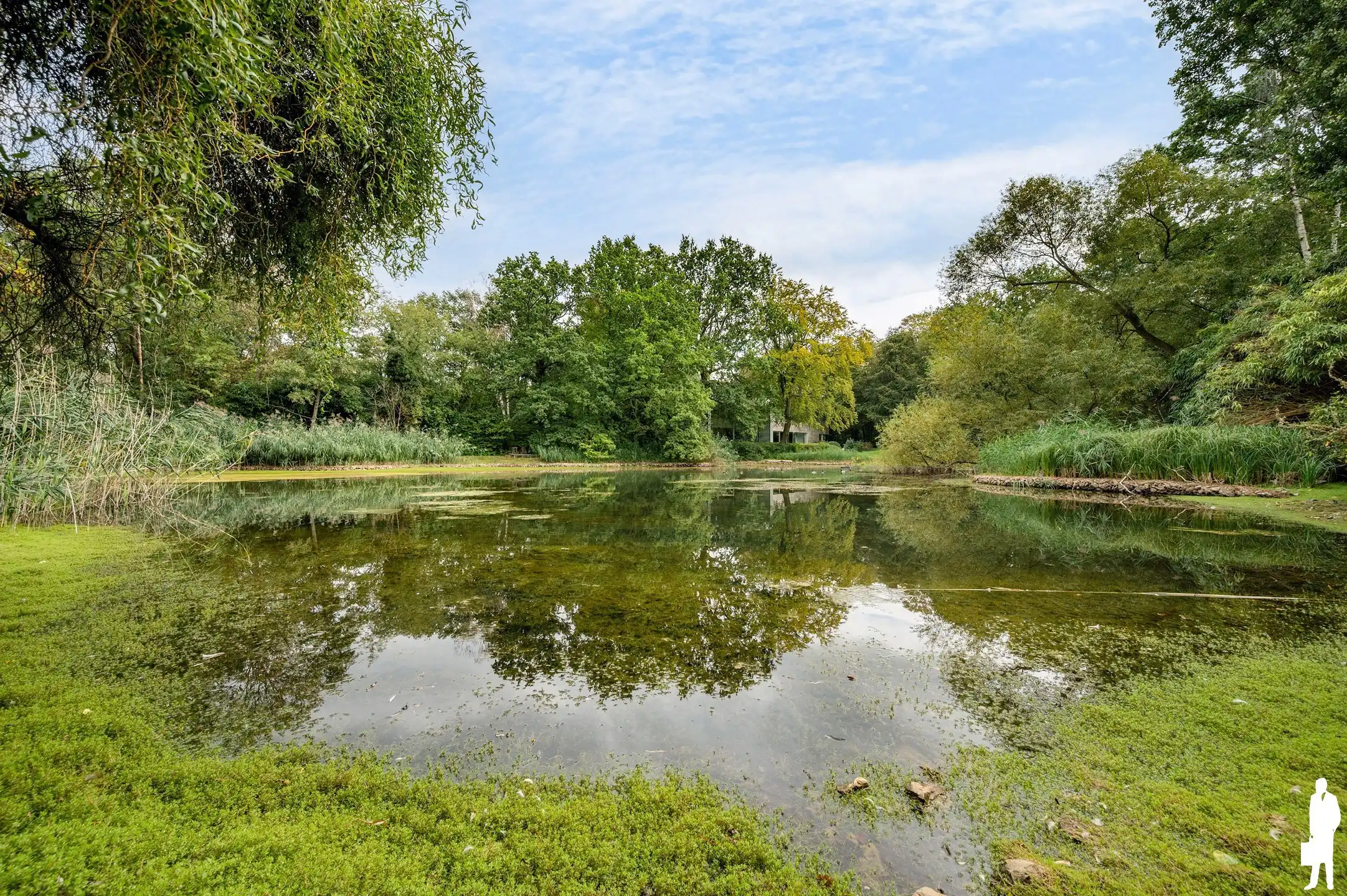 In Vriesdonk, statige villa met parktuin en prachtige gemeenschappelijke vijver waardoor men een weids uitzicht heeft. foto 31