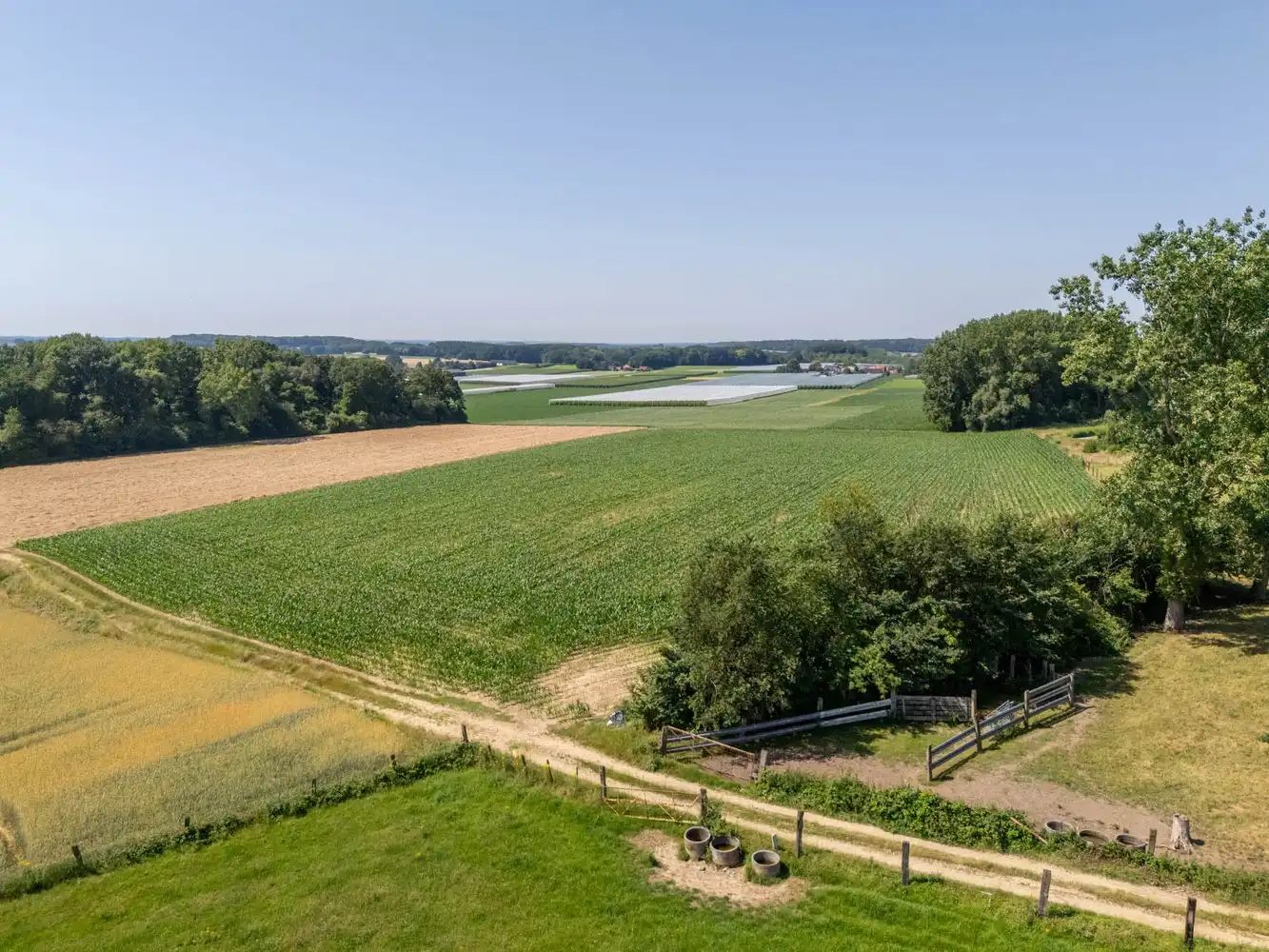 1,6ha verpachte (nog 7 jaar) landbouwgrond te koop foto 14