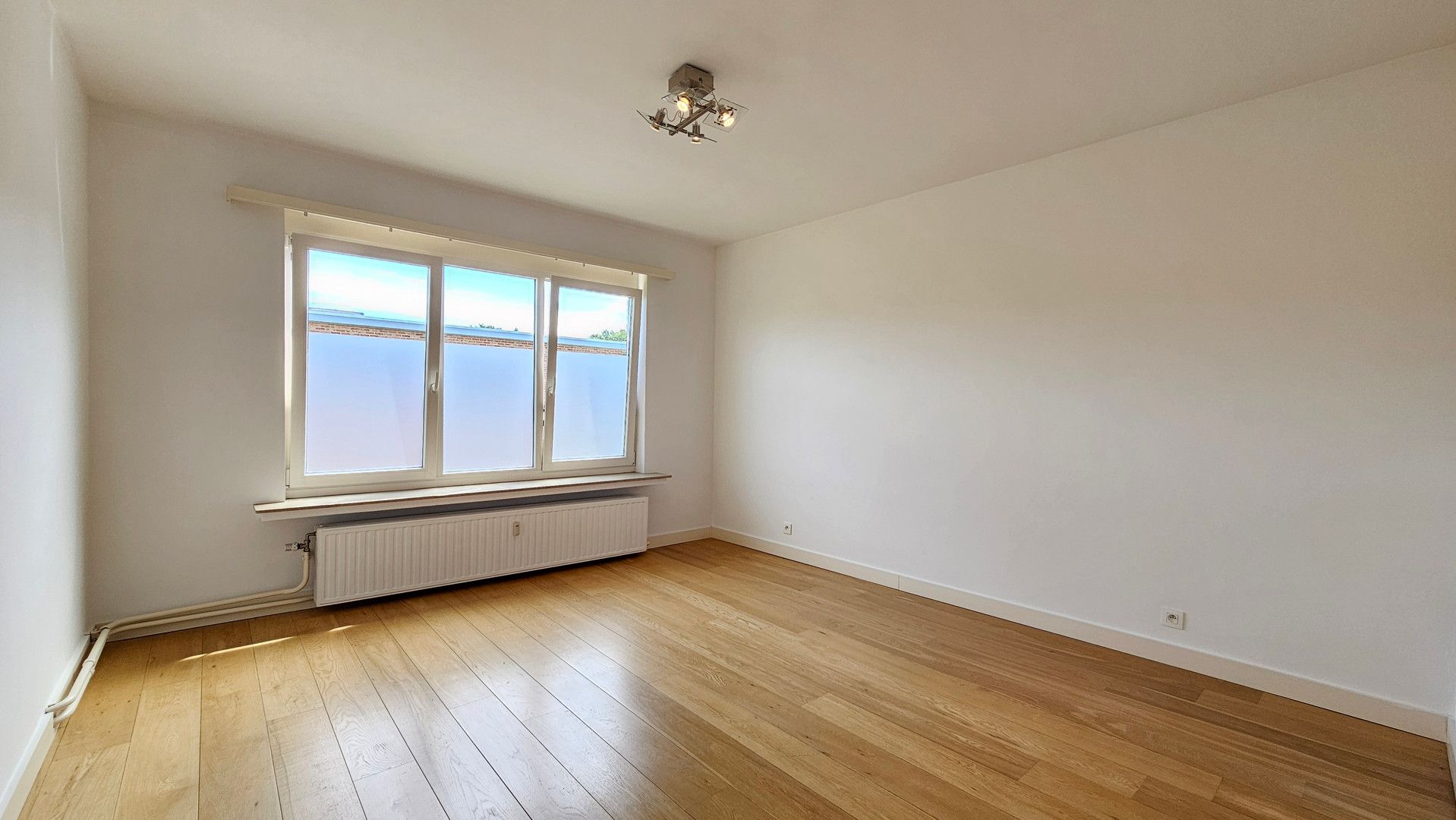 Zeer lichtrijk appartement in Wilrijk foto 7