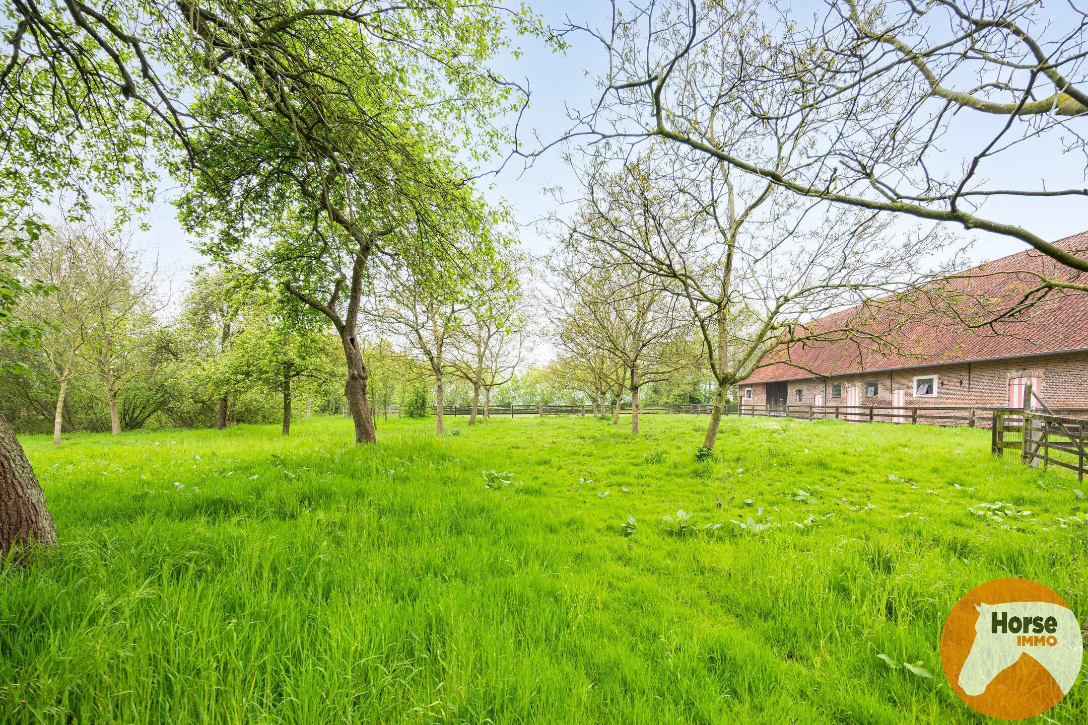 BEERVELDE - Prachtige hoeve met twee authentieke bijgebouwen foto 48