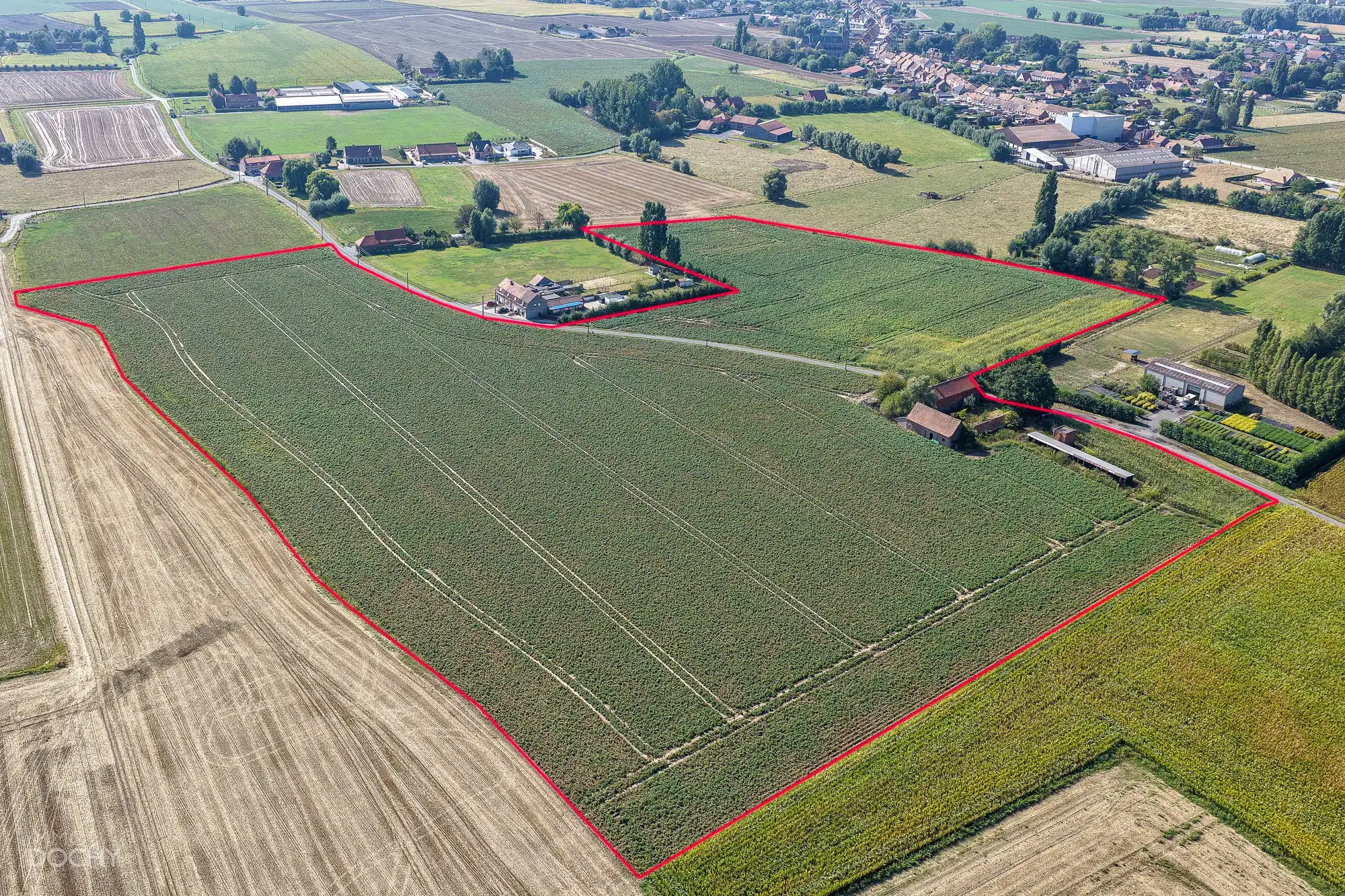 Hoeve op ca 7ha met  vergunning voor nieuwbouw foto 6