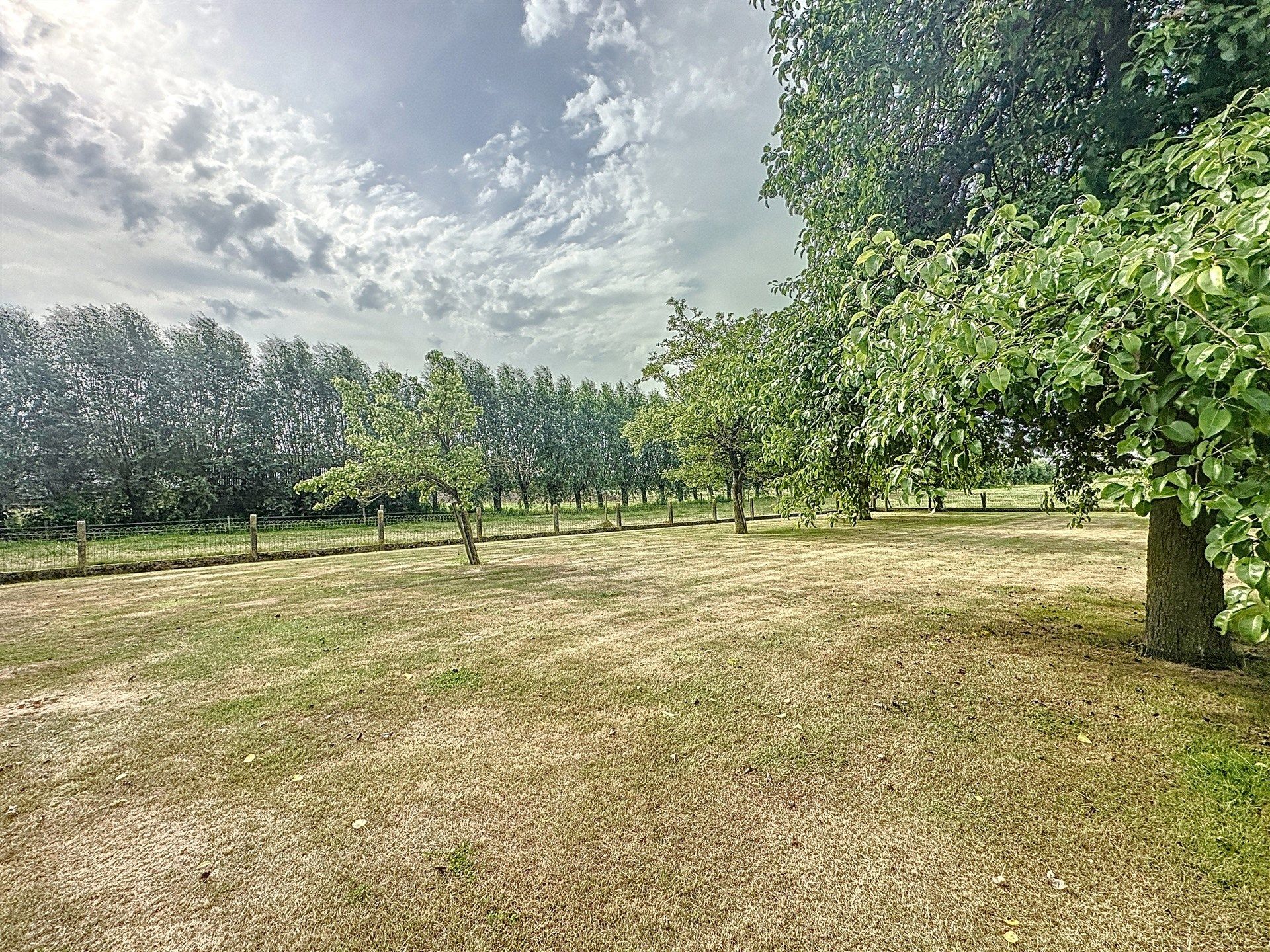 Open bebouwing met 4 slaapkamers op perceel van 2.062m² omringd door velden! foto 9