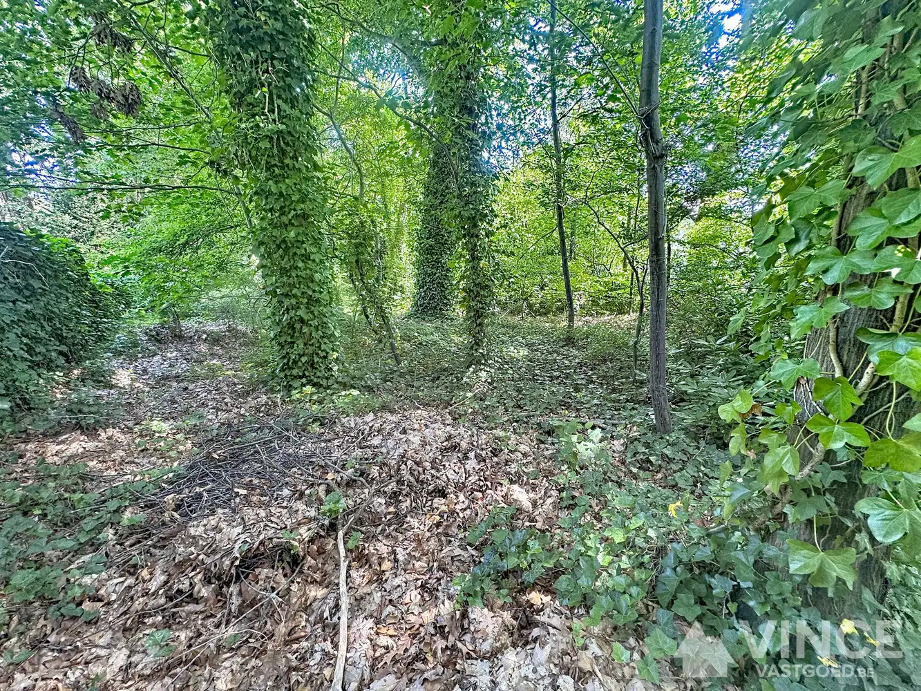 Unieke kans: Prachtige ruime bouwgrond op centrale locatie foto 4