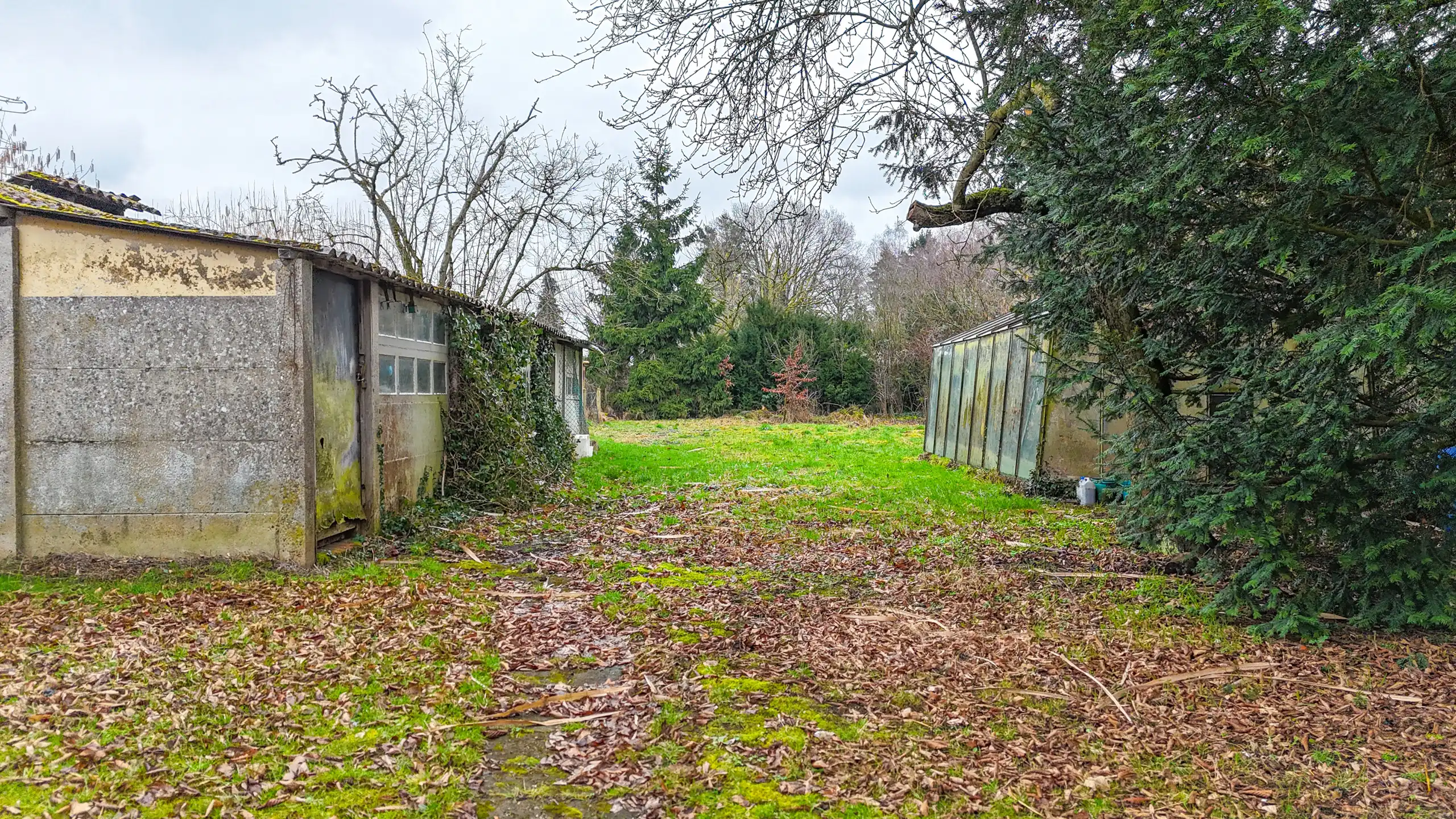 Open bebouwing met 3 slpks op ruim perceel nabij bos! foto 24