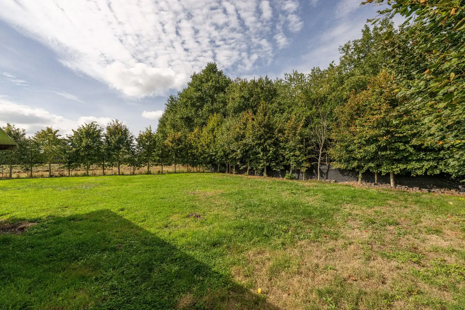 CASCO WONING MET 4 SLAAPKAMERS OP 1.544 m² IN KRUISEM foto 16