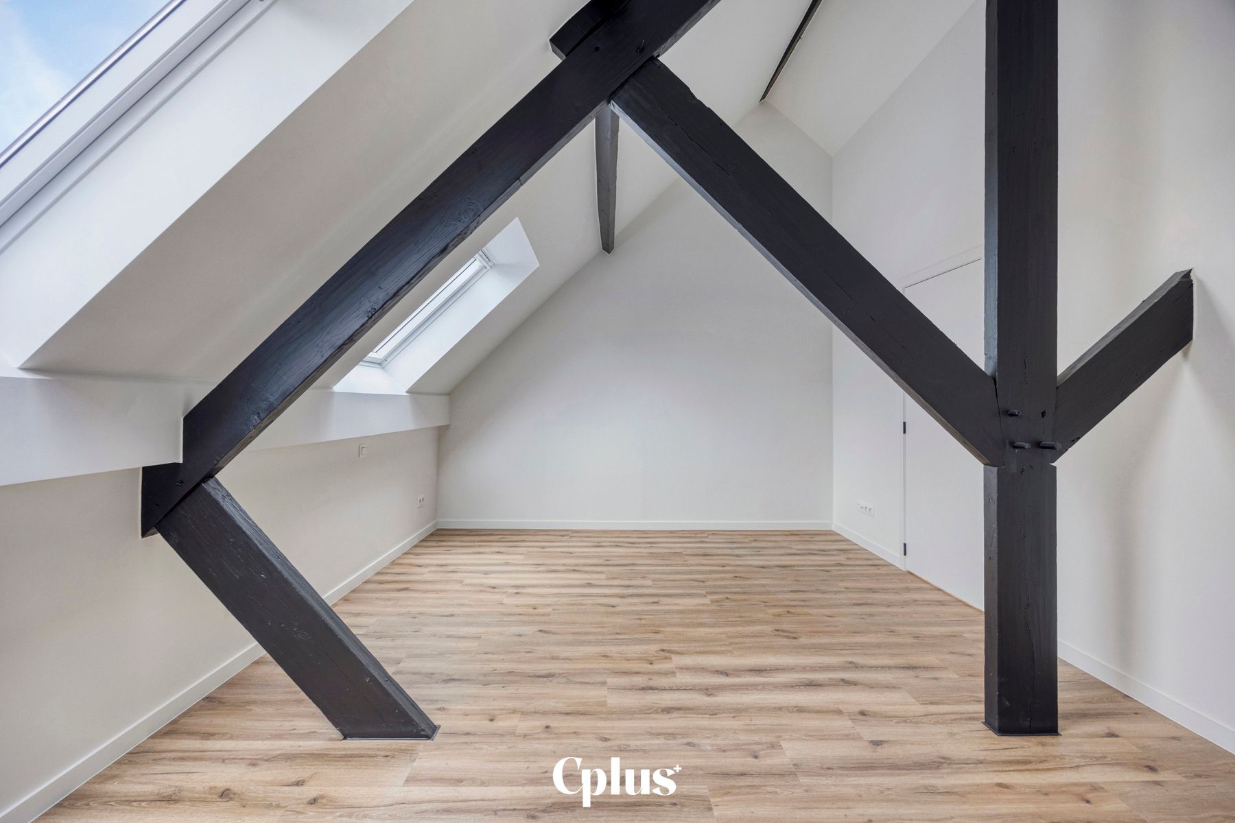 Energiezuinig en gerenoveerde duplex - te huur foto 7