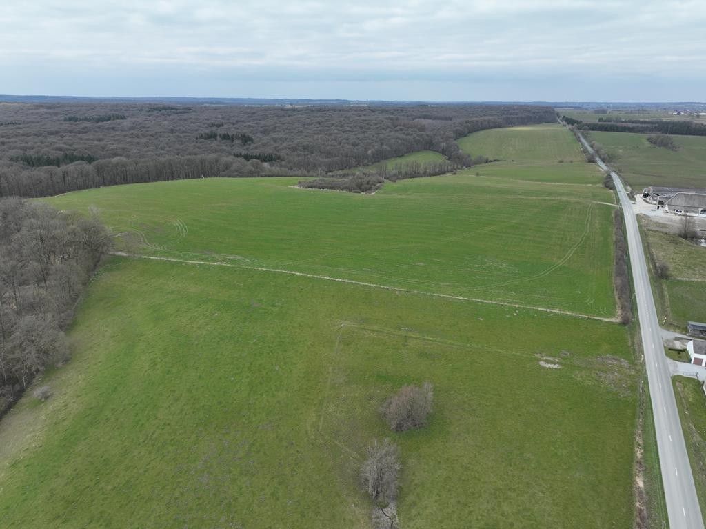 Landbouwbedrijf op 76 hectare in Chimay (Henegouwen) foto 6