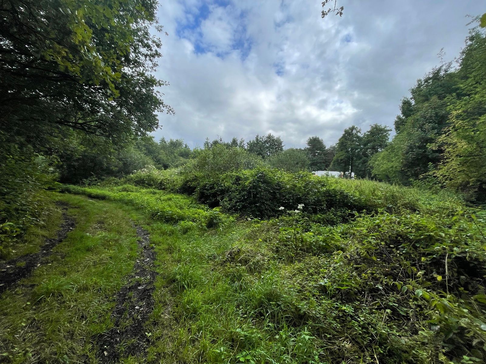 Grond gelegen in agrarisch gebied aan snelweg E313 foto 2