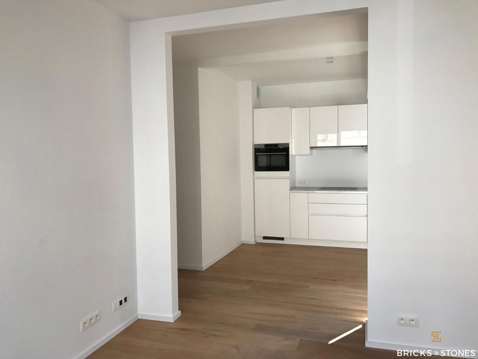 Gerenoveerd 1-slaapkamer appartement met terras nabij Nachtegalenpark foto 6
