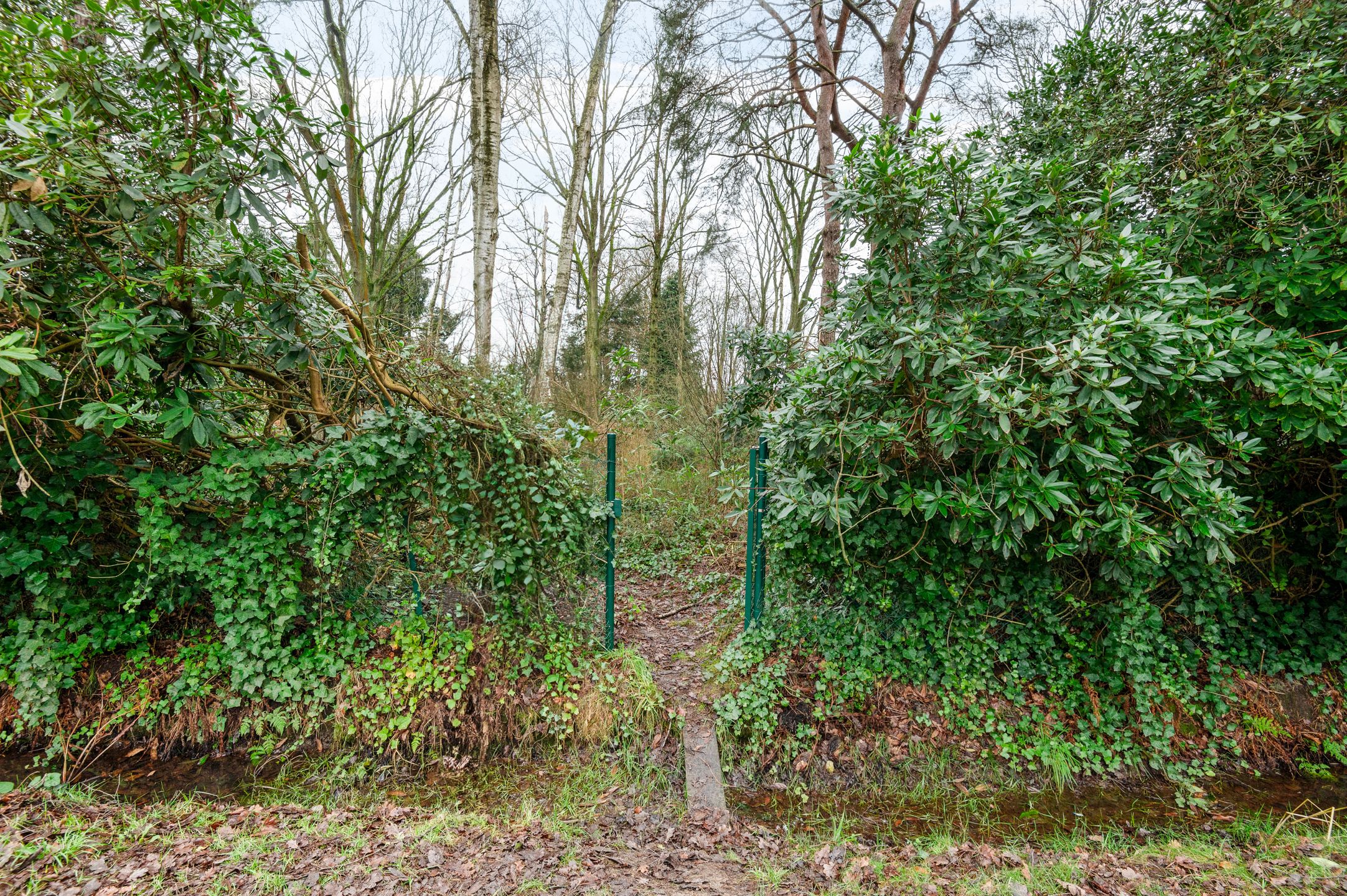 Mooi gelegen bouwgrond op 2.404 m² in een rustig gelegen gegeerde omgeving aan het einde van een doodlopende straat. foto 12