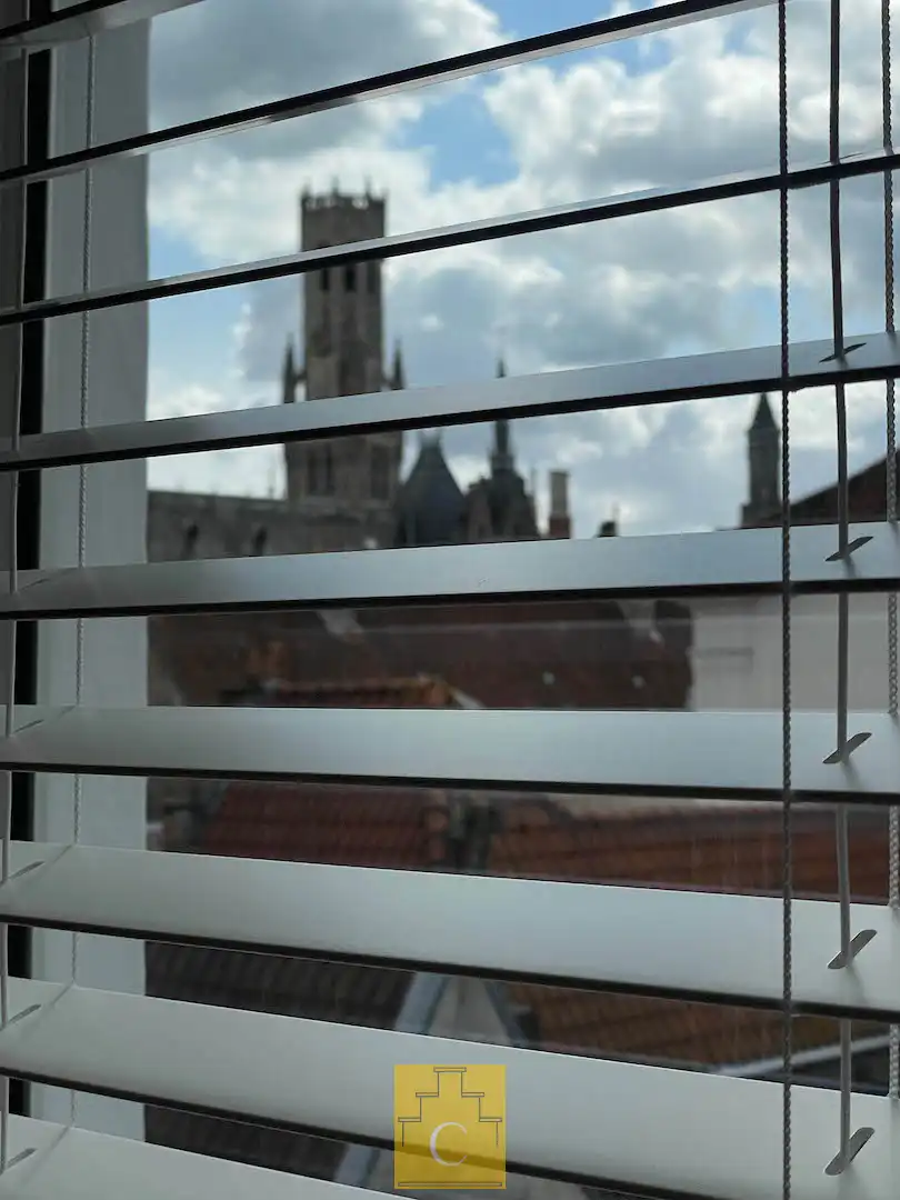 pas gerenoveerd diephuis op iconisch stadsplein, een meesterwerk van historiek en hedendaagse luxe foto 22