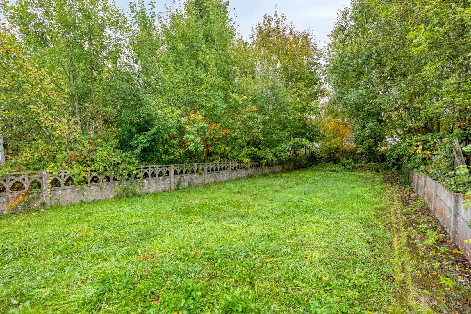 Rustig gelegen te renoveren woning op een mooi perceel van 13 are. foto 29