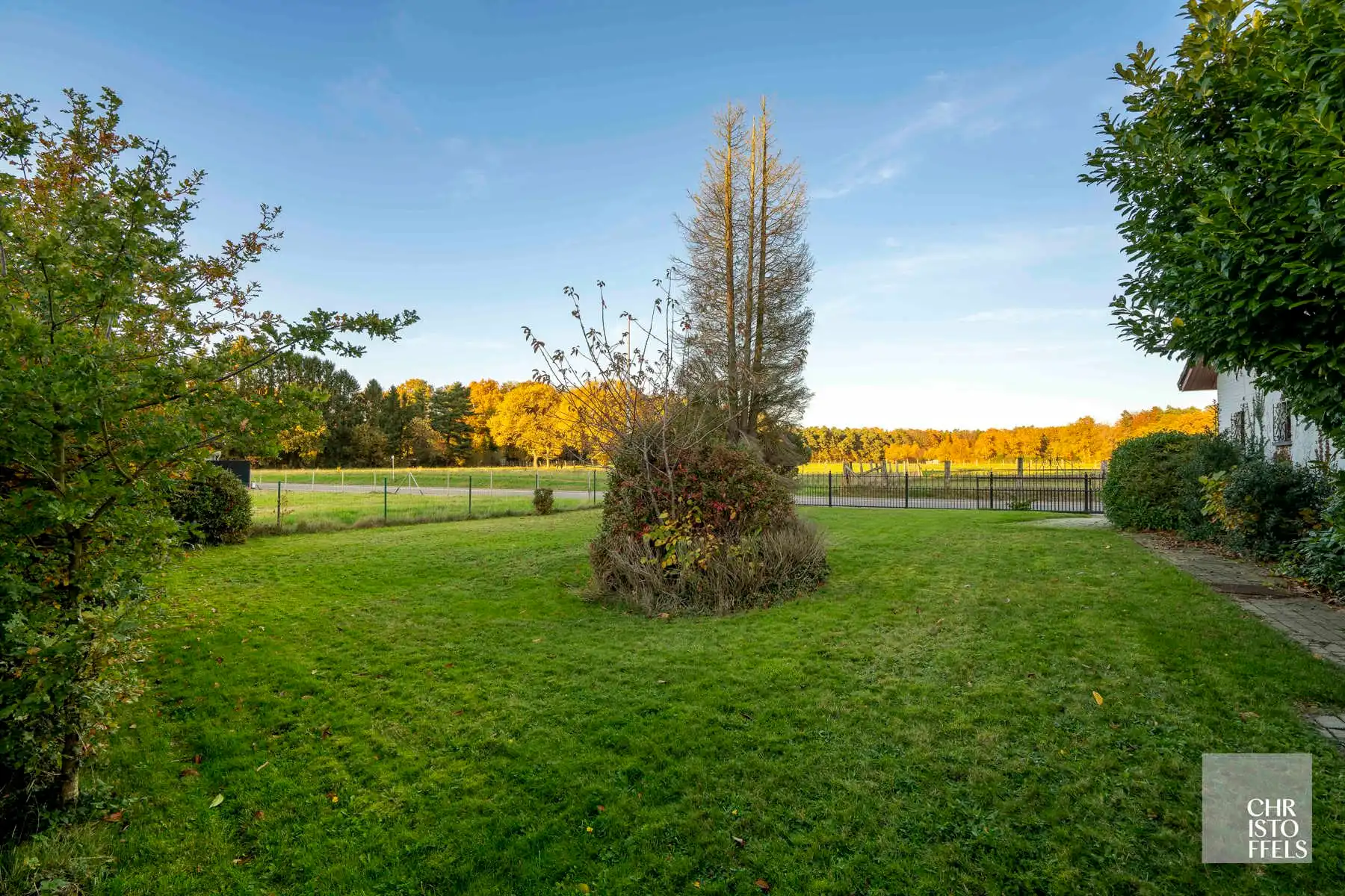 Ruim perceel (1.257 m²) met (ver)bouwpotentieel in het groene Zutendaal! foto 20