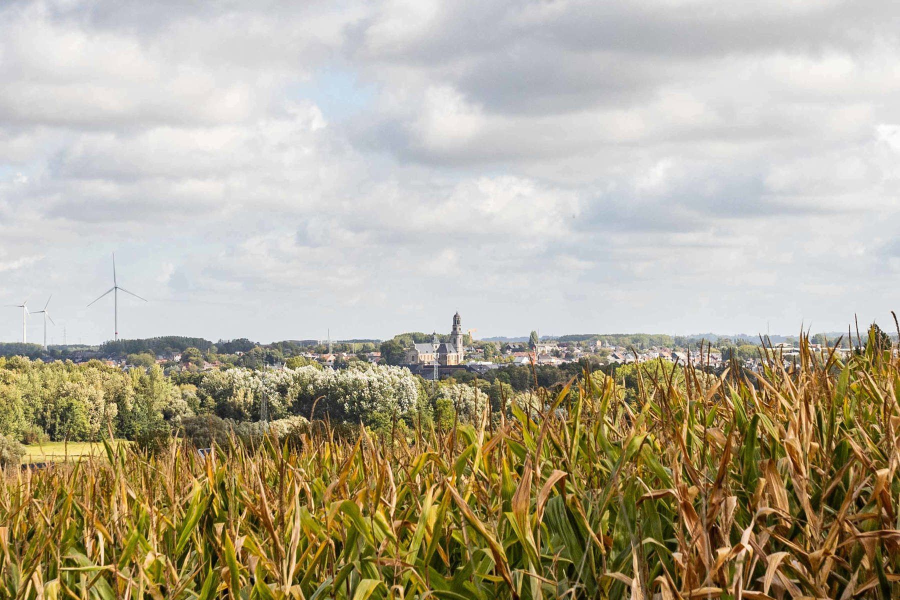 HOB MET 3 SLP, BUREAU, TUIN EN GARAGE foto 19