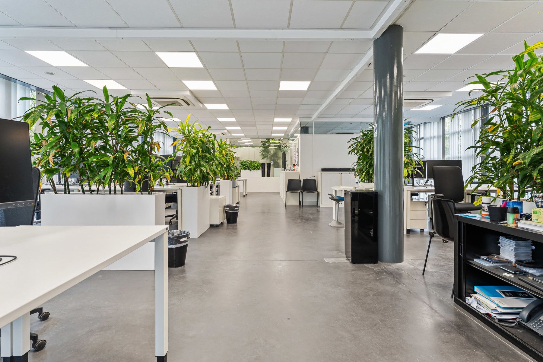 Kantoren met woonst en ruime parking in Tremelo te koop foto 12