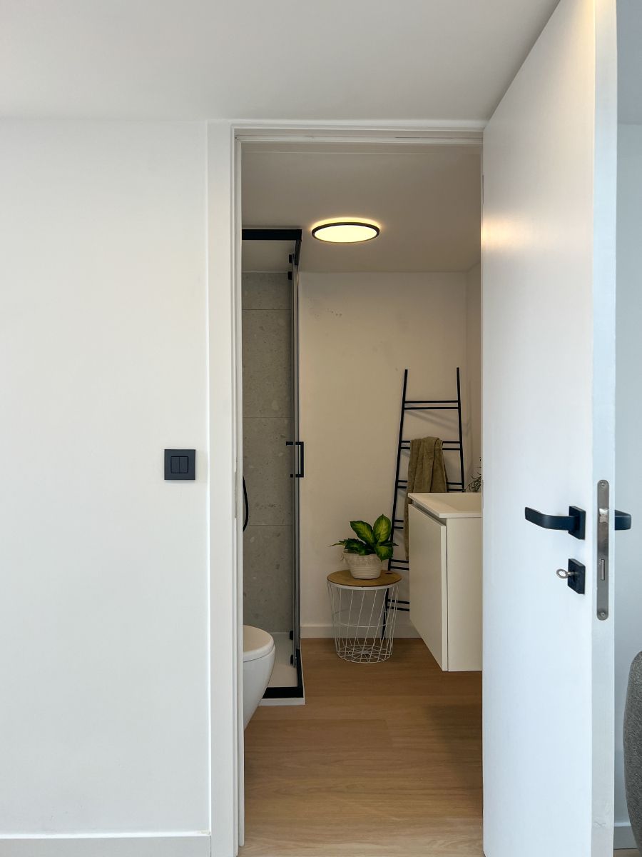 Gerenoveerd dakappartement foto 18