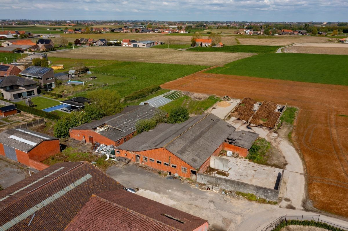 Hoeve met woning en loodsen gelegen in woongebied te Moorsele foto 6