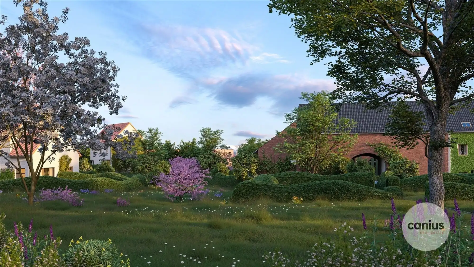 WONEN IN DE PAREL VAN HASPENGOUW foto 17