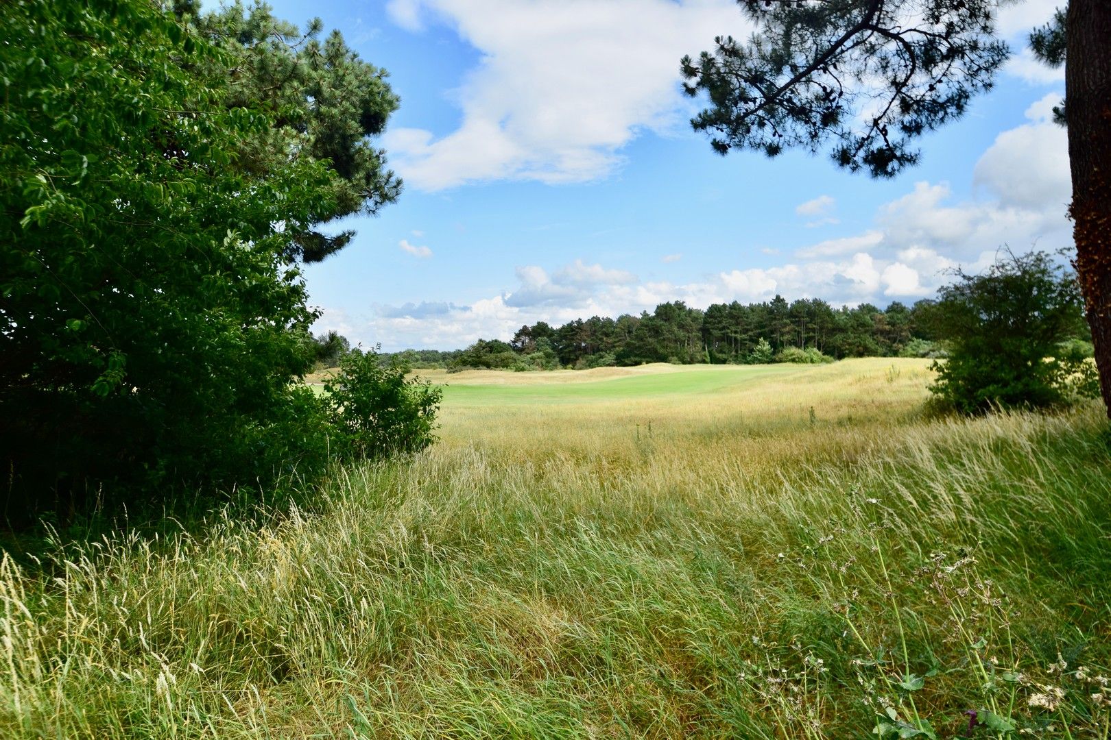 Te renoveren charmante koppelvilla gelegen in een paadje met zicht op de Royal Zoute Golf Club. foto 7