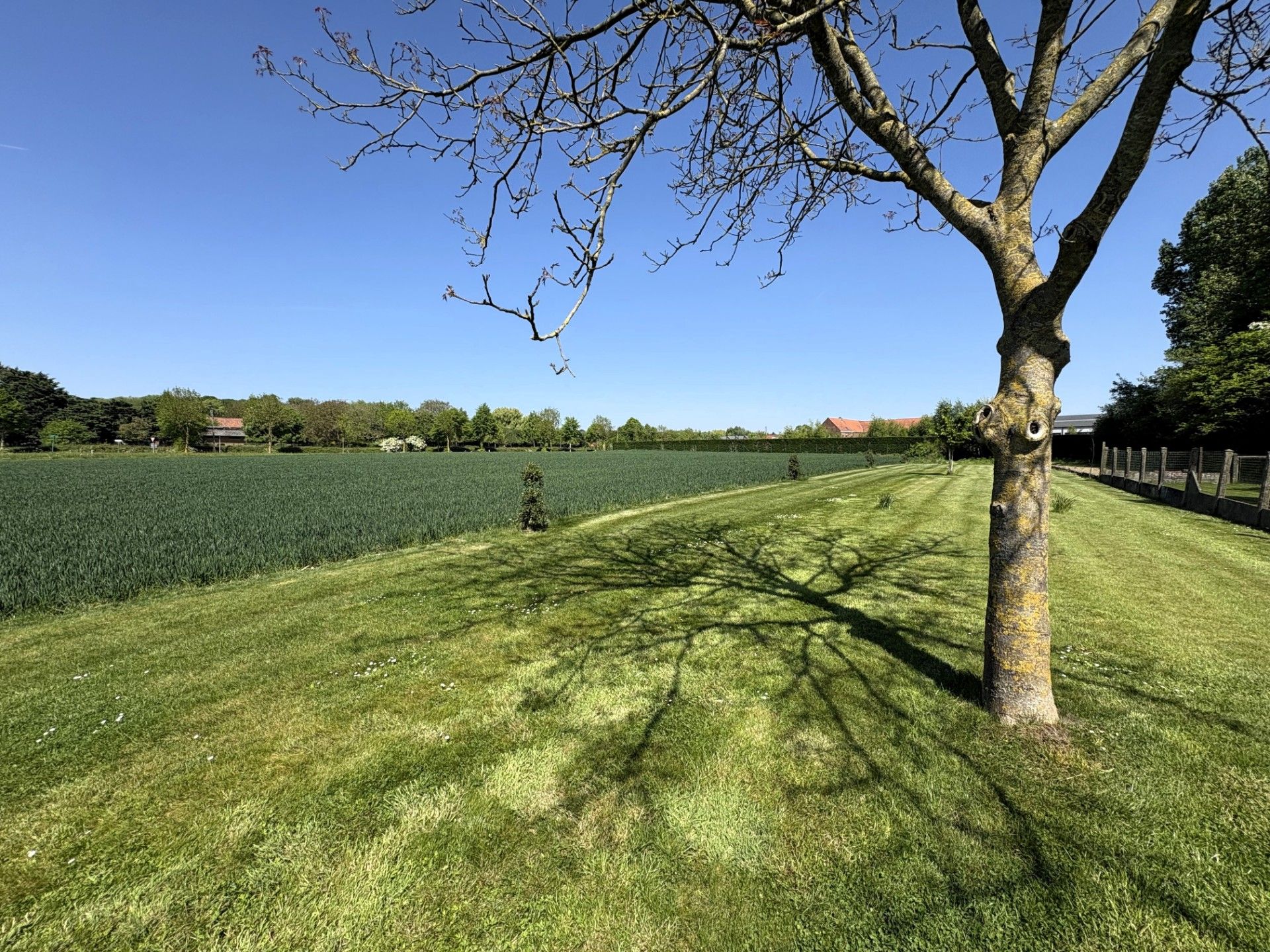 Exclusieve villa in Tiegem foto 8