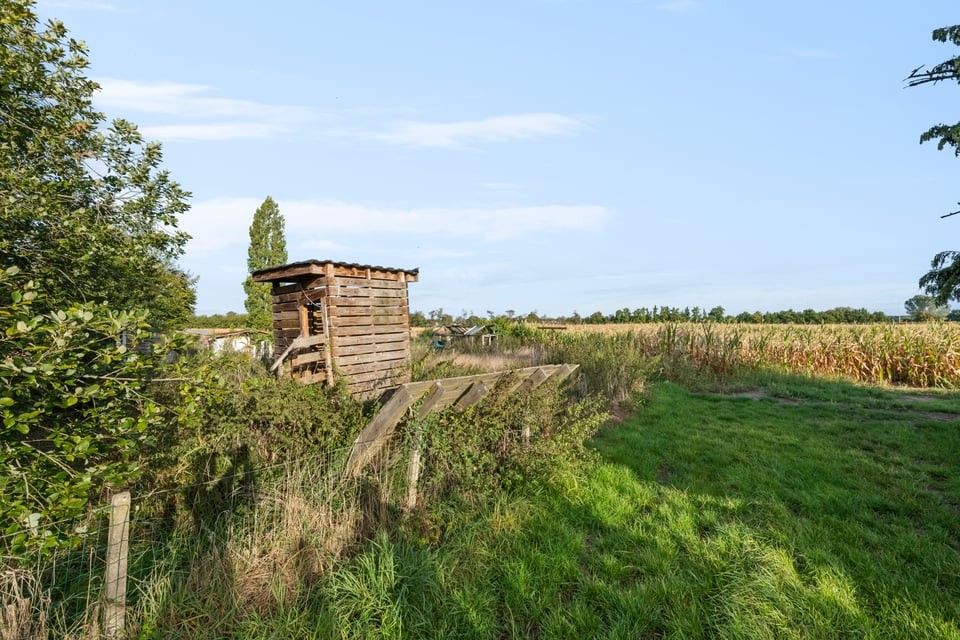 GERENOVEERDE GEZINSWONING MET RUIME LOODS IN SINT-TRUIDEN foto 37