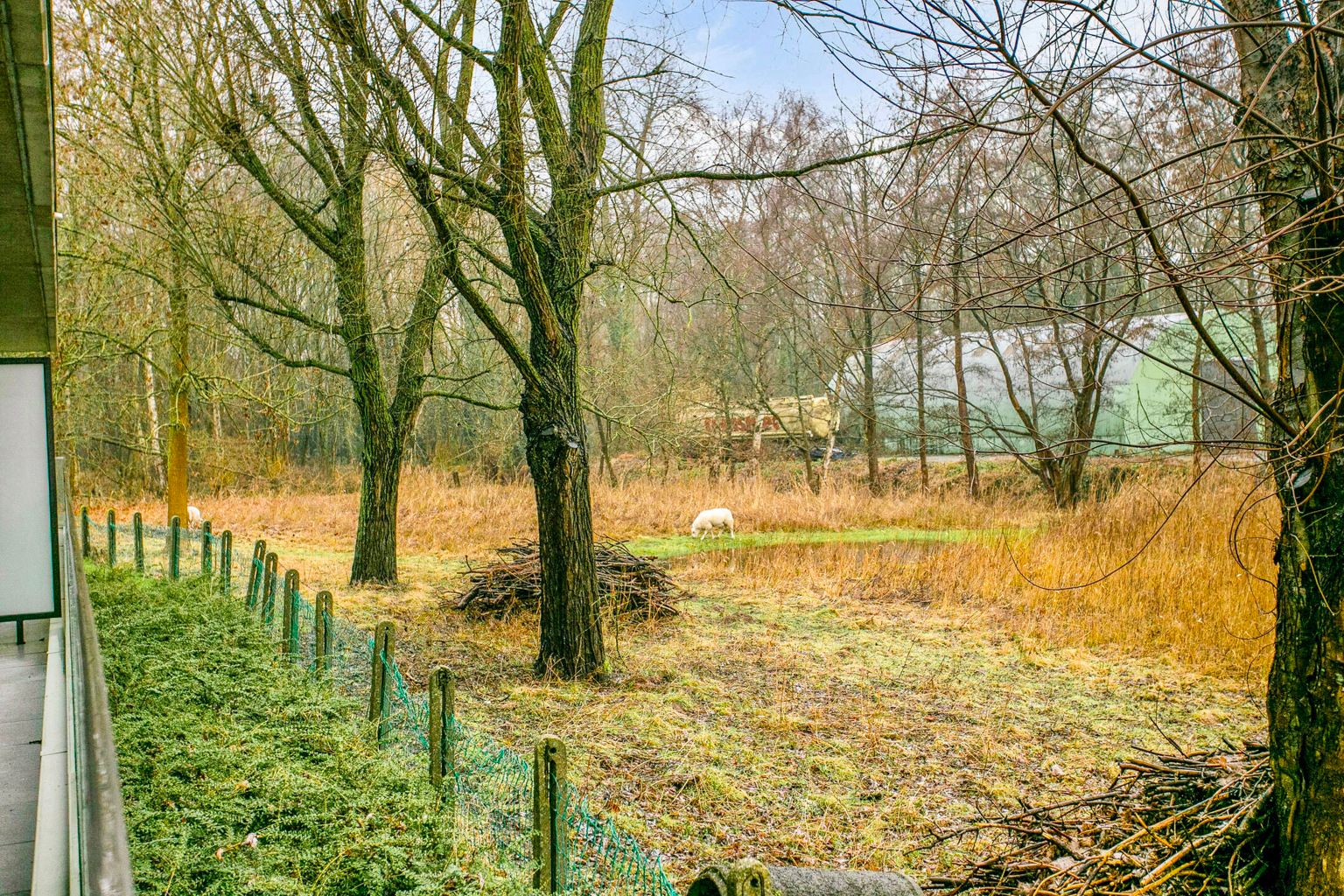 Assistentie woonst met 1 ruime slaapkamer te Keyseryk foto 9