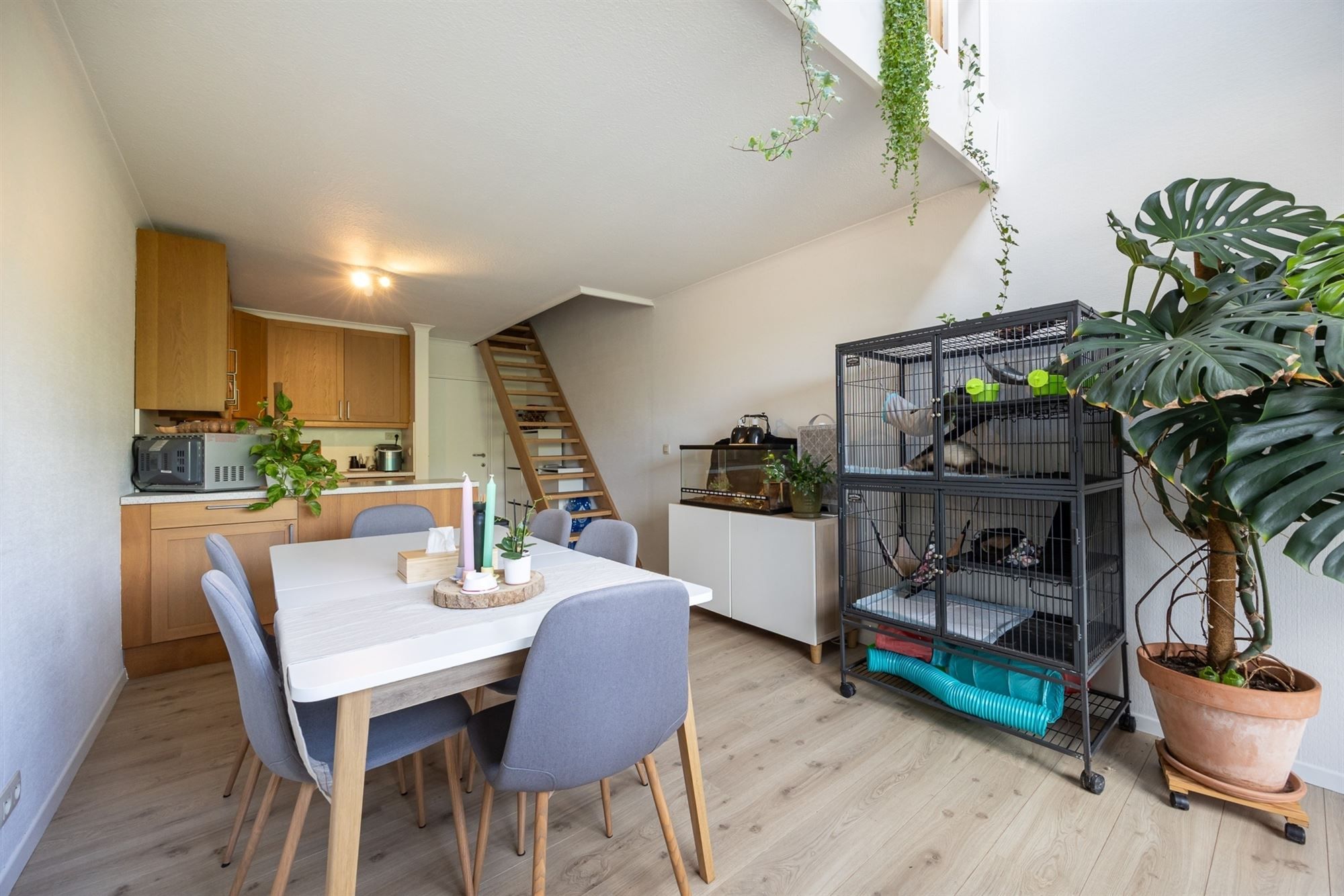 Appartement met één slaapkamer en terras in Mechelen foto 10