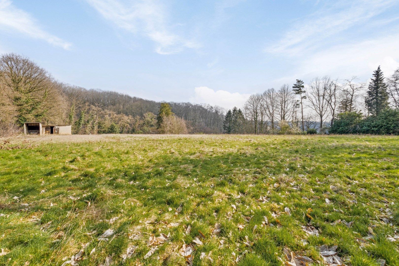 Uniek project: te renoveren woning op een perceel van bijna 1 hectare in Kessel-Lo. foto 26