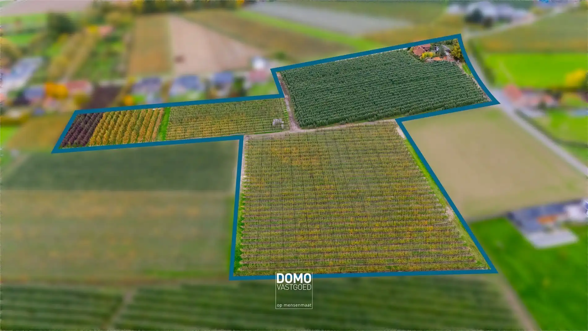 PRACHTIG GELEGEN HOEVE TE KOOP OP EEN PERCEEL VAN 3HA 55A 31CA TE HERK-DE-STAD  foto 2