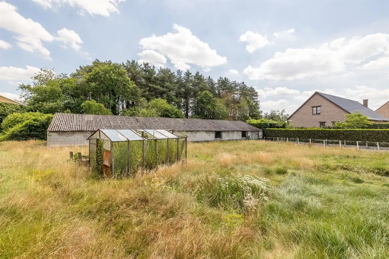 ZOgericht, 11 a13 ca, ontwikkelingsmogelijkheden foto 9