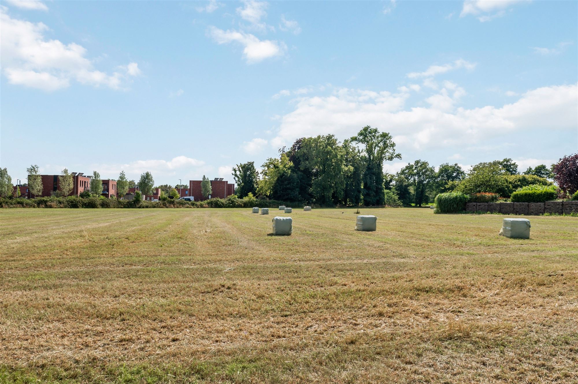 MOOIE BOUWGROND OB VAN 1055M² TE BALEN foto {{pictureIndex}}