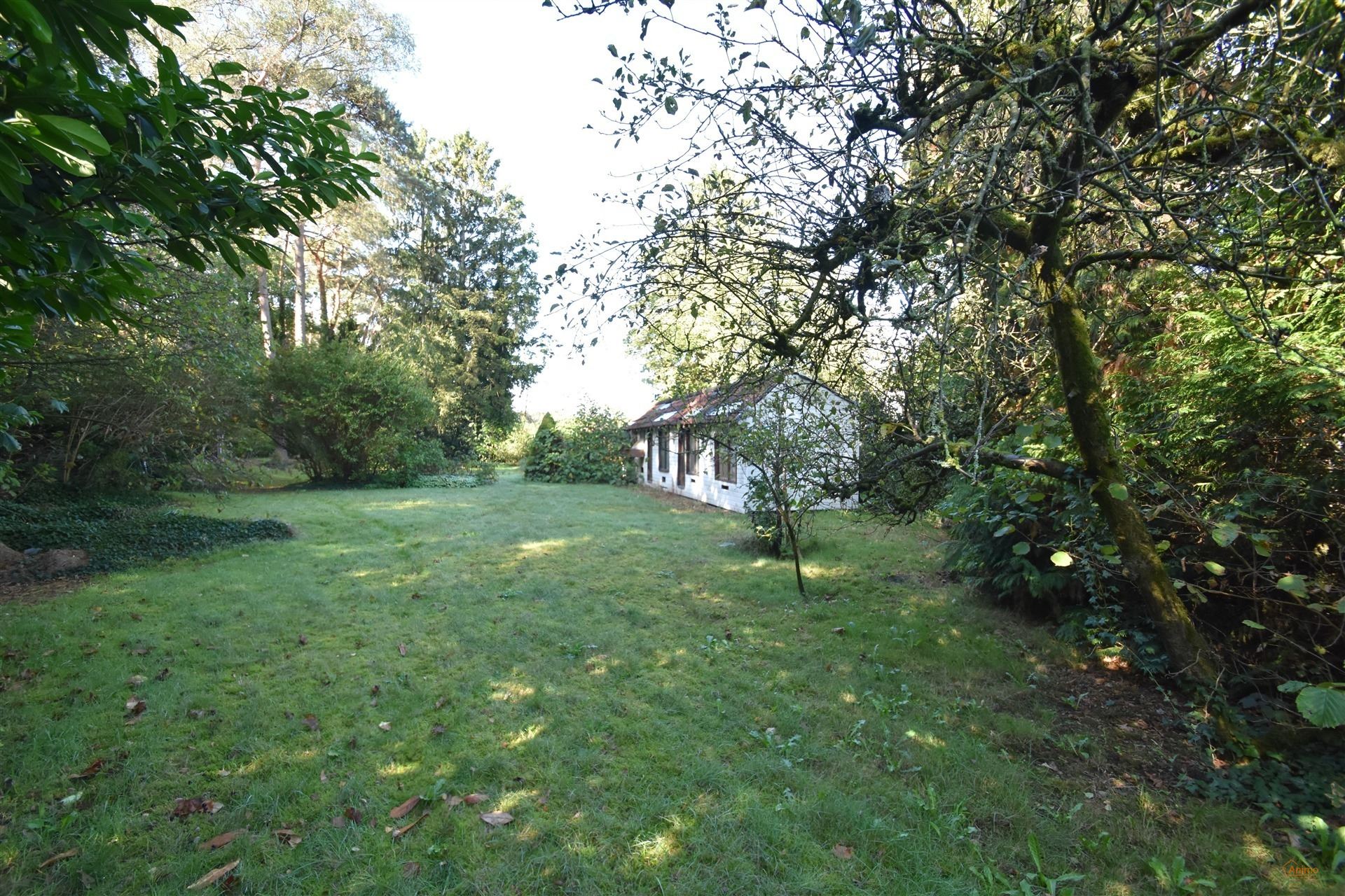 Huis foto 24