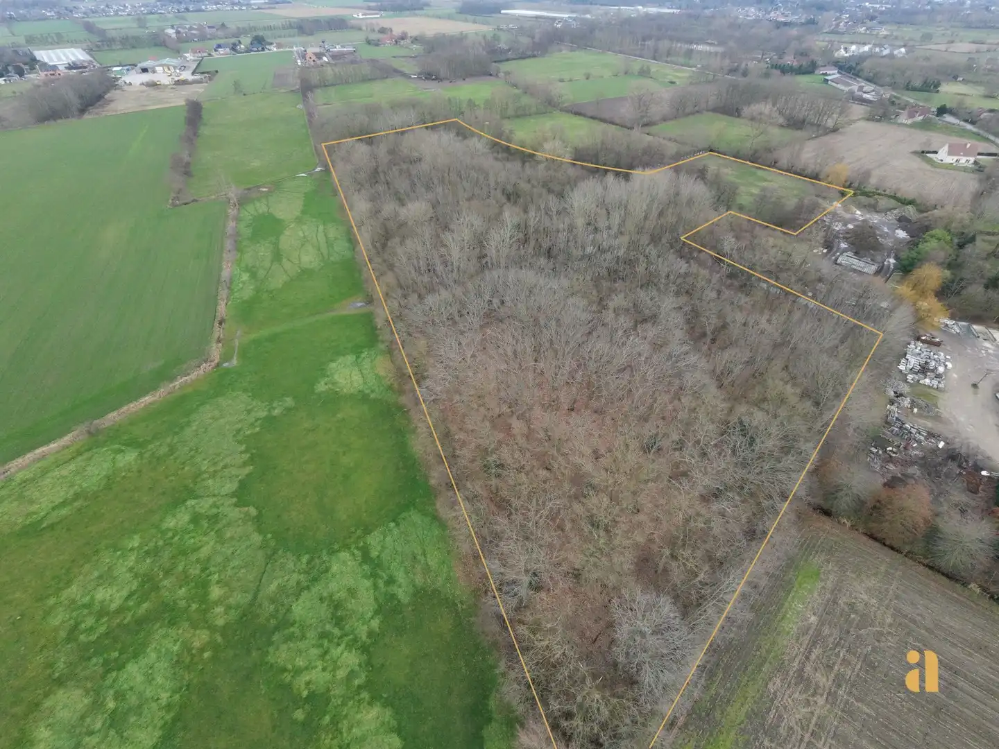 Bosperceel met aangrenzend weiland in landelijke omgeving foto {{pictureIndex}}